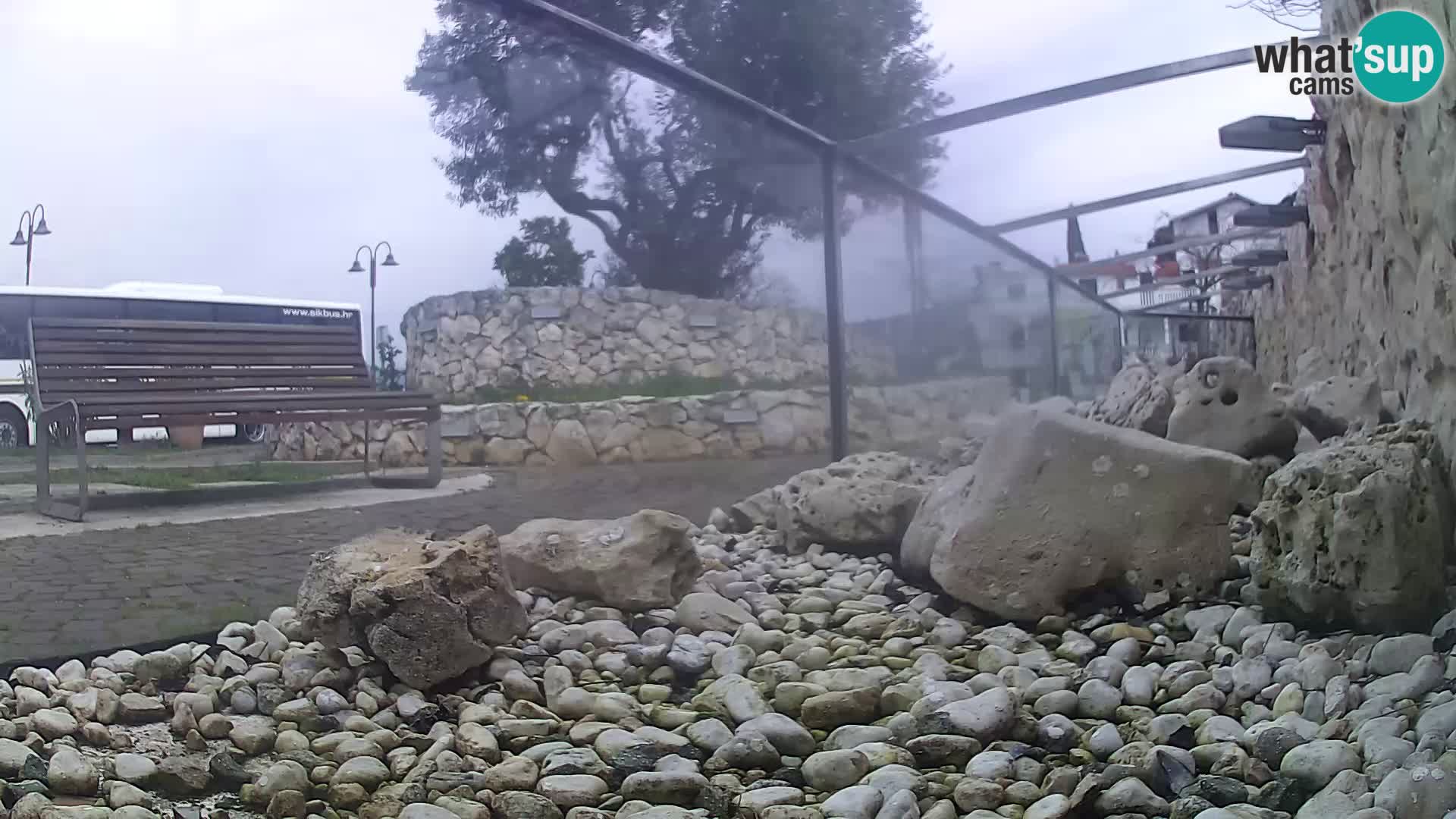 Vanjski morski akvarij Rogoznica web kamera Hrvatska