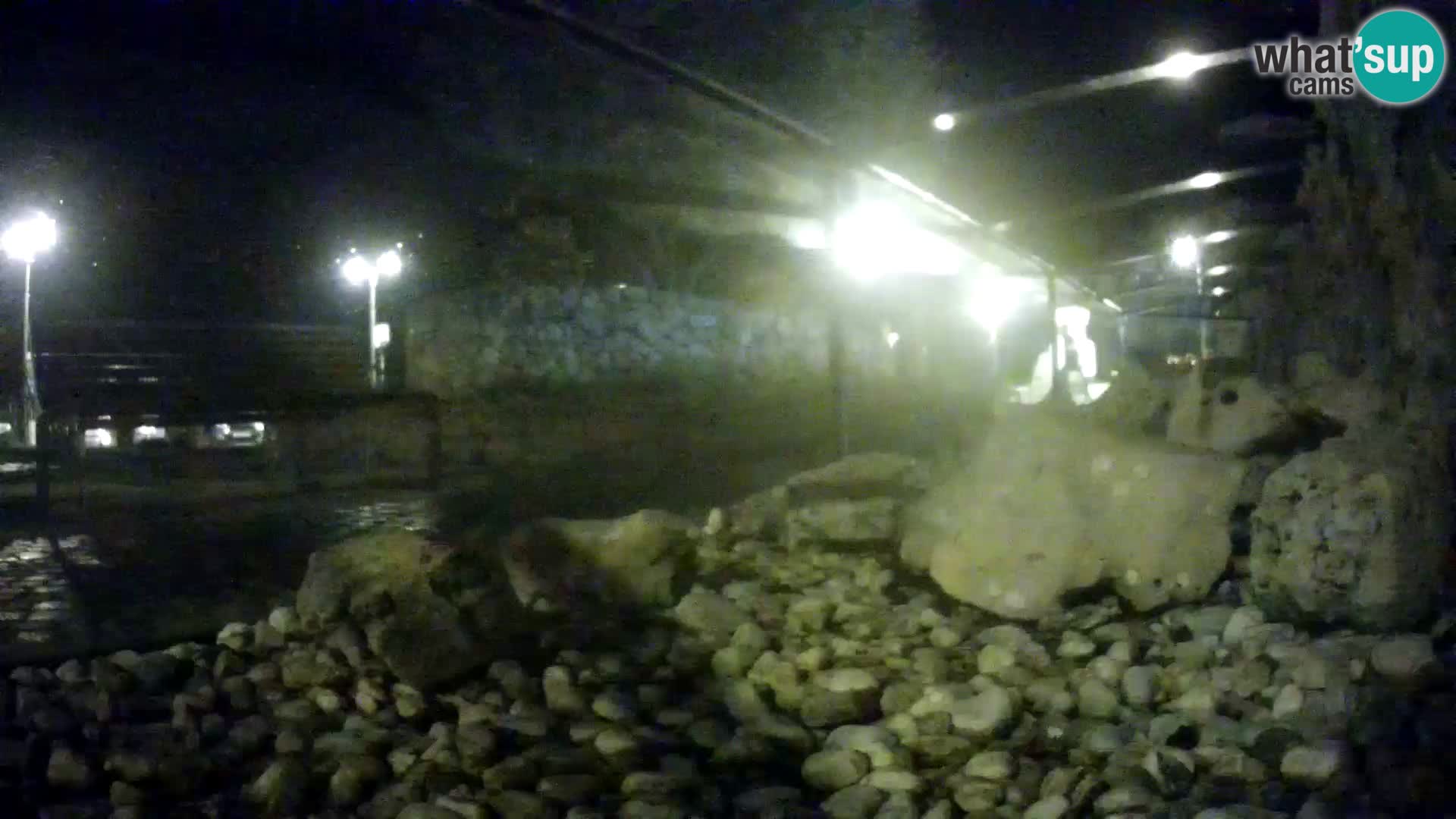 Acuario marino al aire libre Rogoznica webcam Croacia