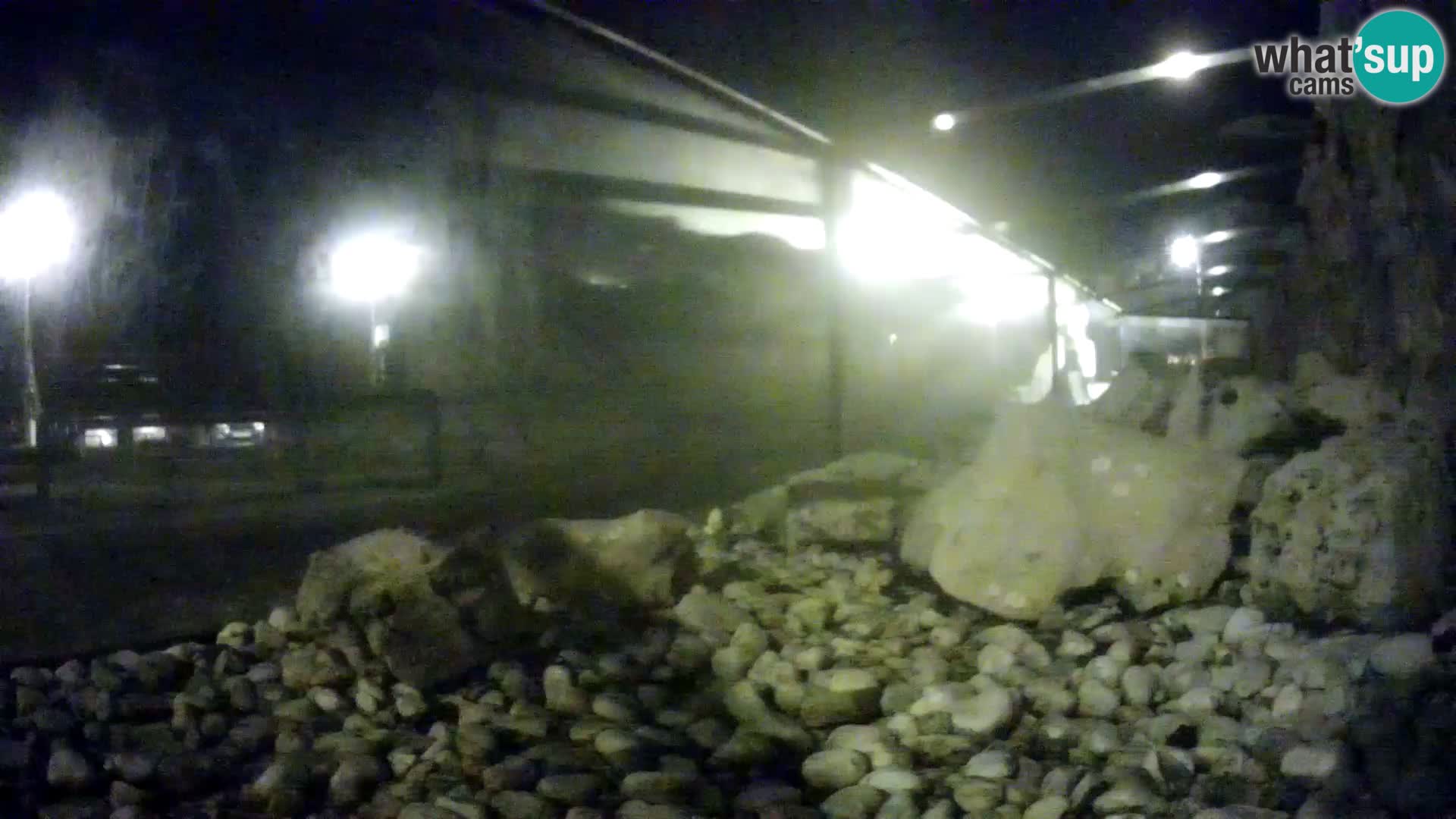 Webcam de l’aquarium marin extérieur de Rogoznica Croatie