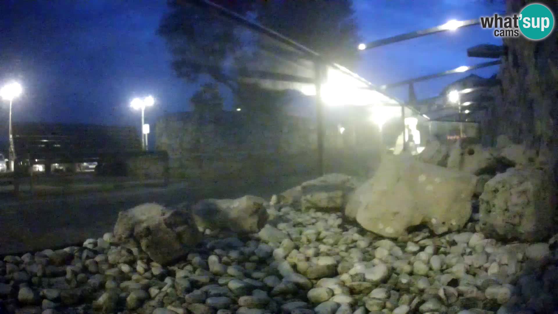 Zunanji morski akvarij Rogoznica spletna kamera Hrvaška