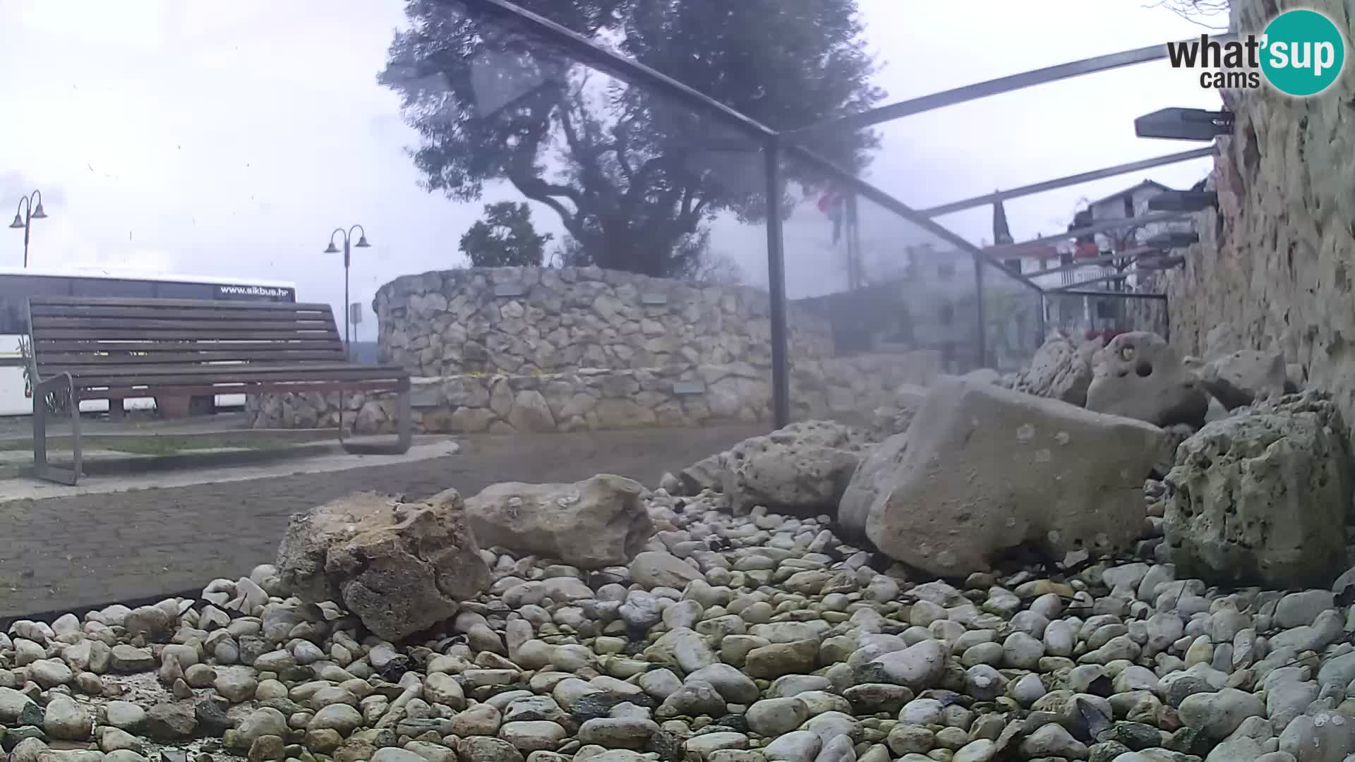 Outdoor Marine Aquarium Rogoznica webcam Croatia