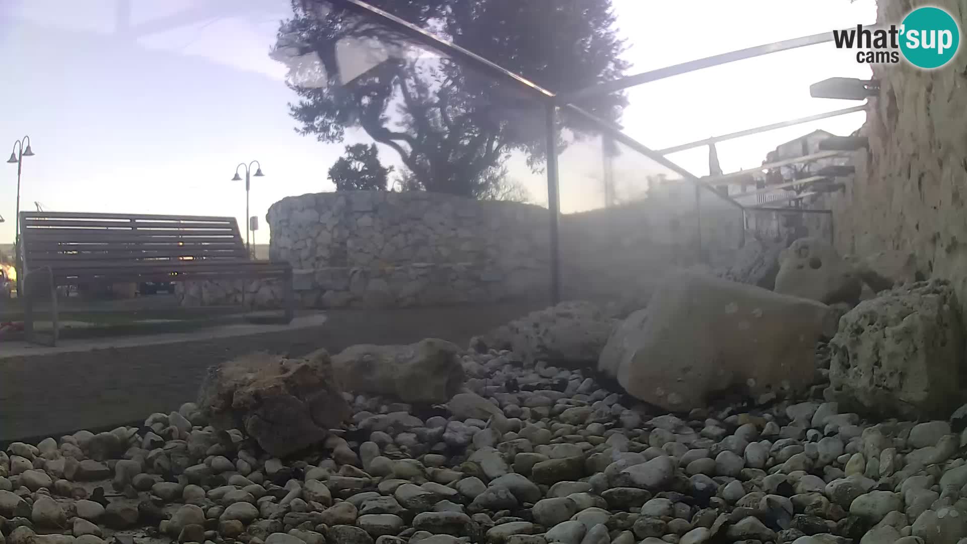 Webcam de l’aquarium marin extérieur de Rogoznica Croatie