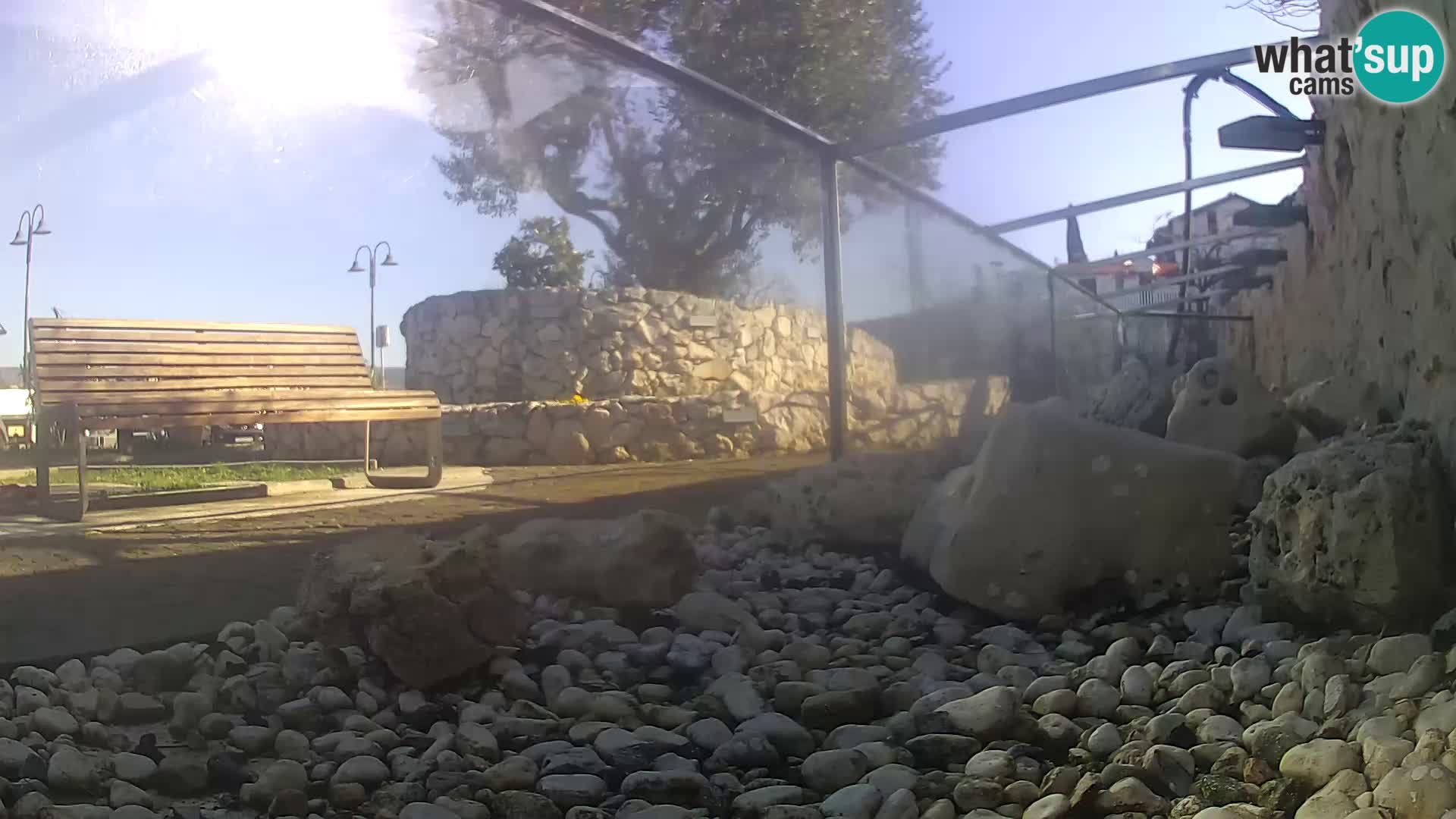 Webcam de l’aquarium marin extérieur de Rogoznica Croatie