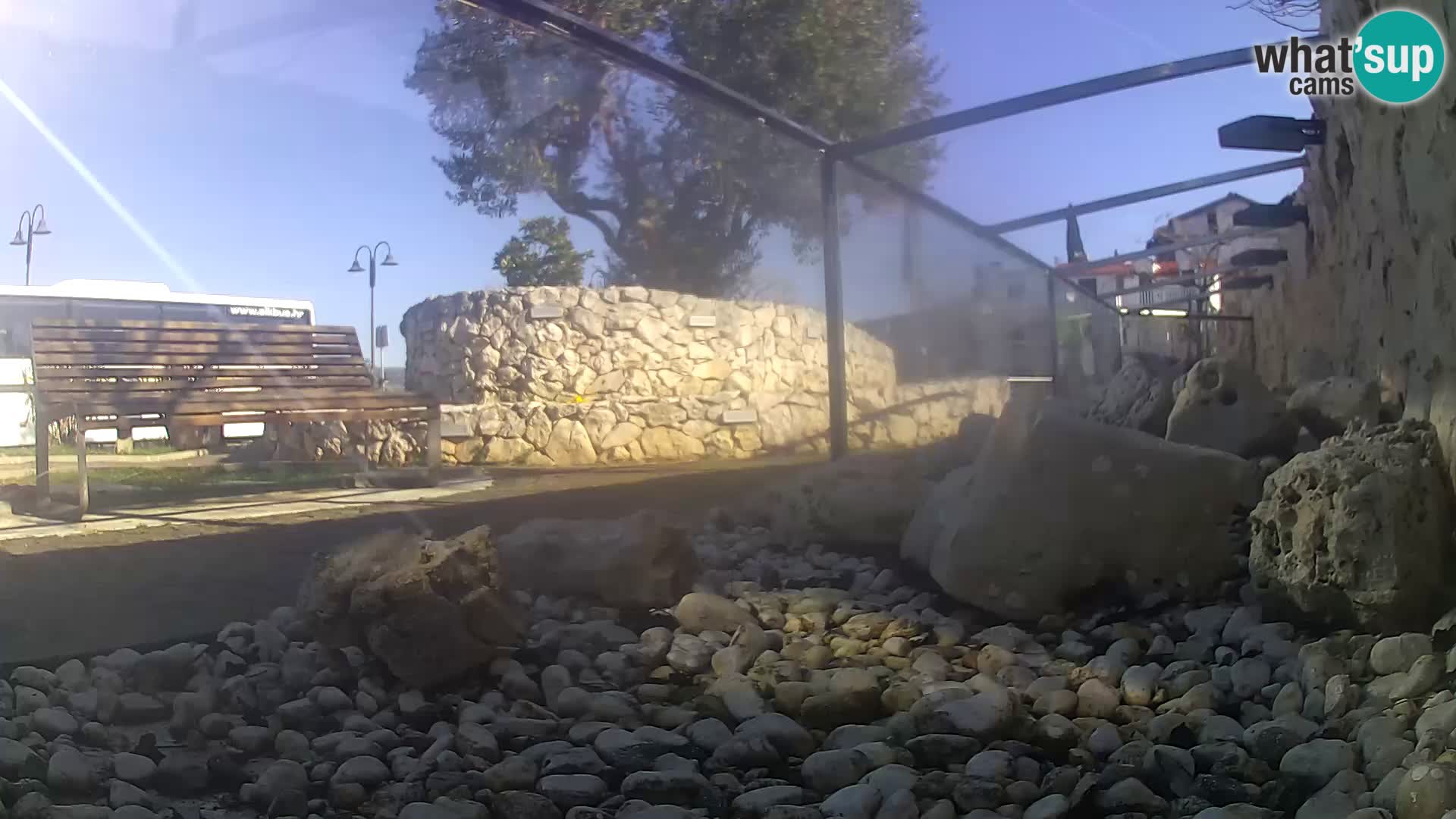 Webcam de l’aquarium marin extérieur de Rogoznica Croatie