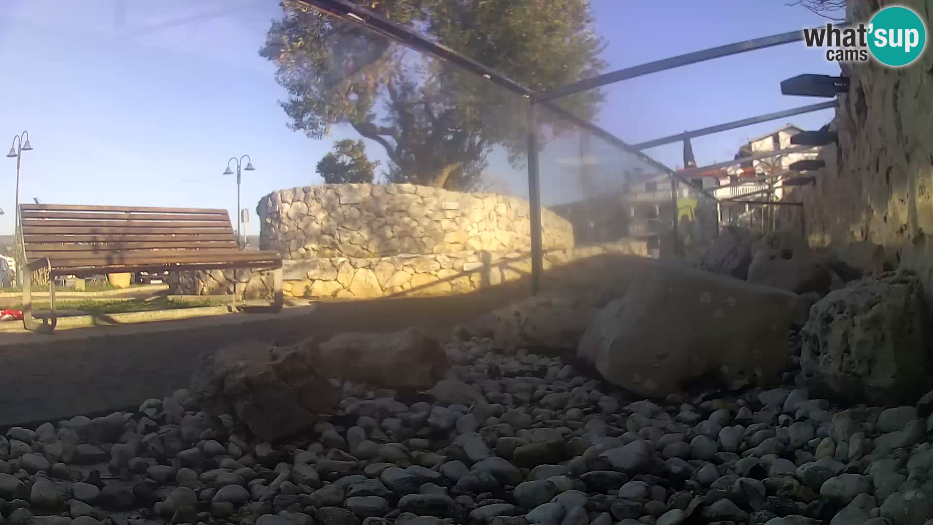 Aquario marino esterno –  Rogoznica livecam Croazia