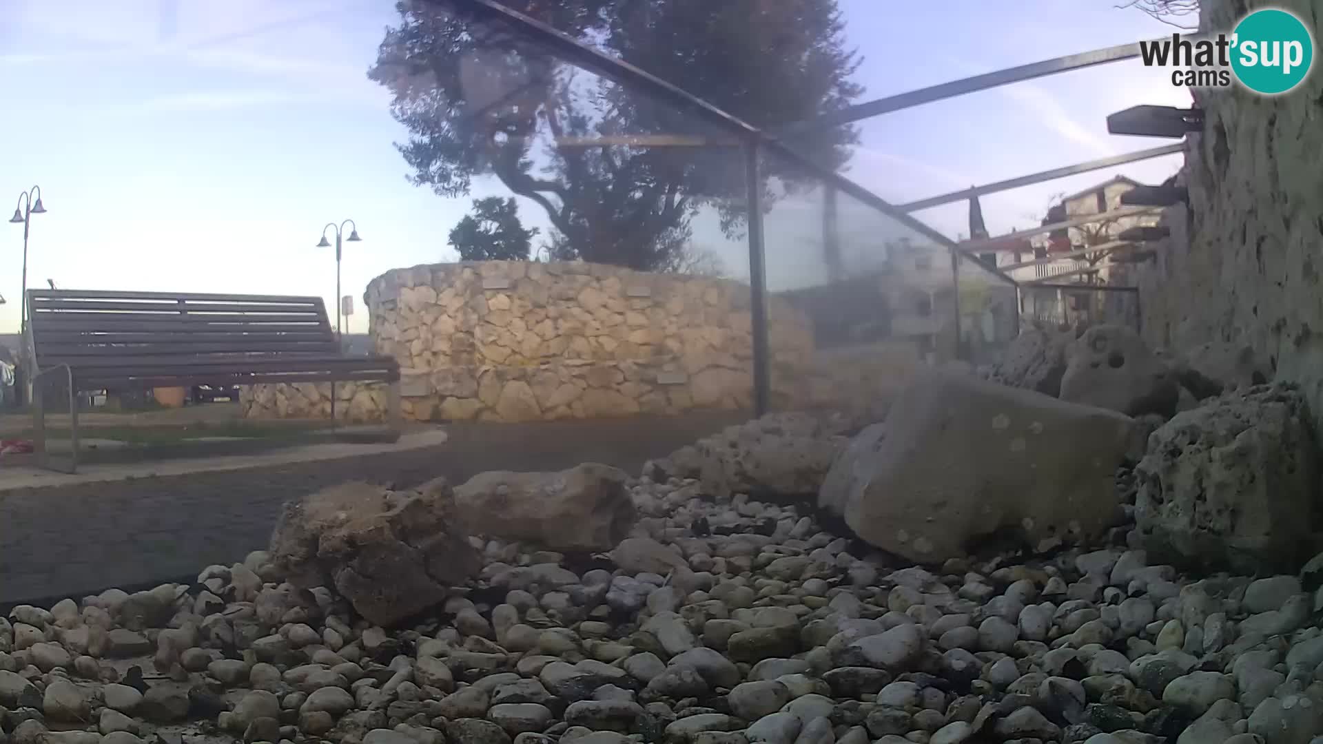 Acuario marino al aire libre Rogoznica webcam Croacia