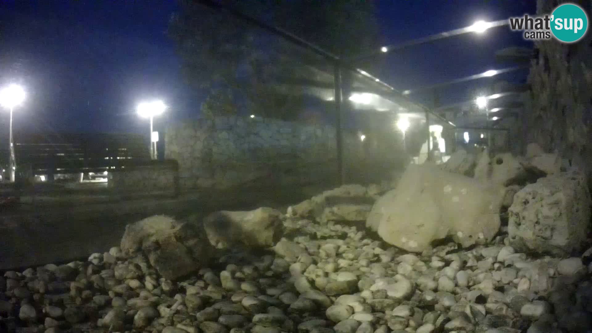 Aquario marino esterno –  Rogoznica livecam Croazia