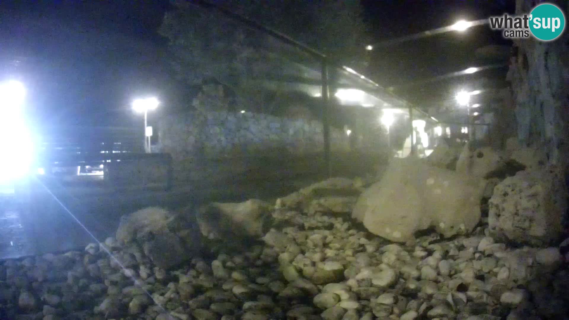 Acuario marino al aire libre Rogoznica webcam Croacia