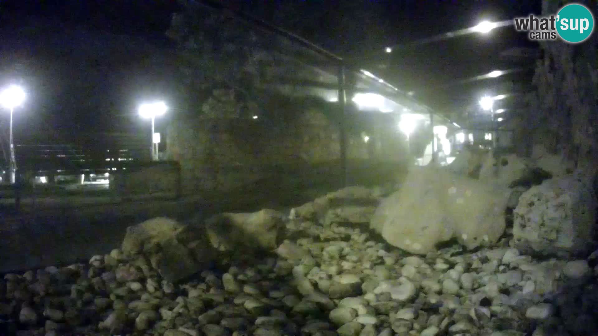 Zunanji morski akvarij Rogoznica spletna kamera Hrvaška