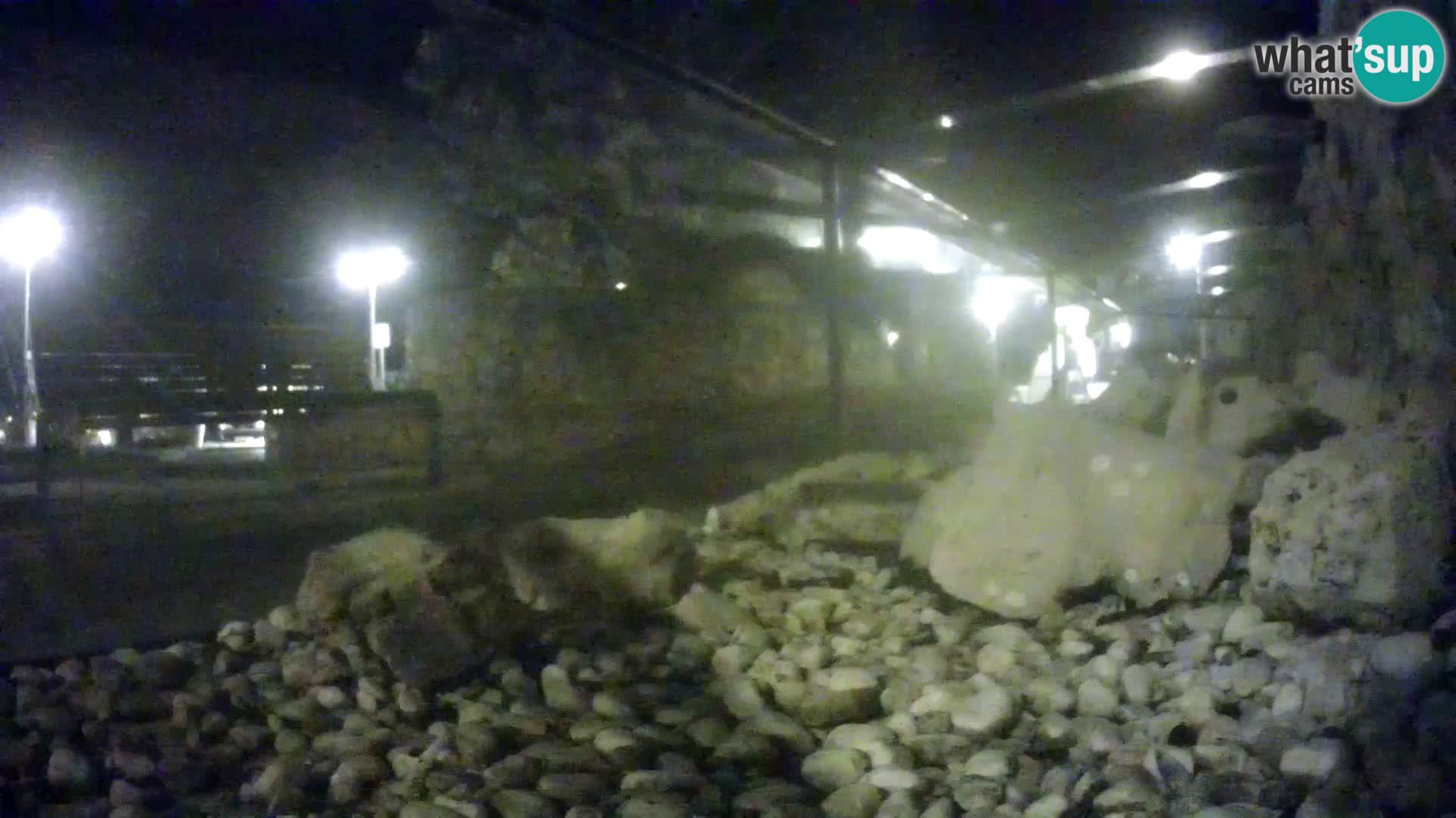 Marine Aquarium im Freien Rogoznica webcam Kroatien