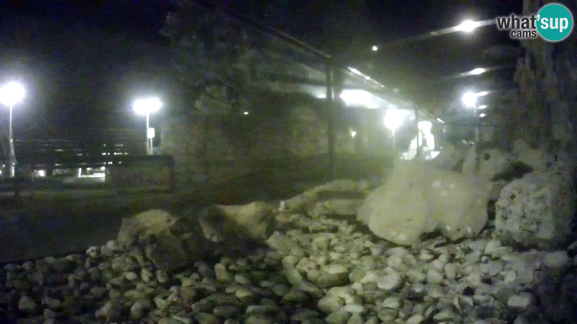 Vanjski morski akvarij Rogoznica web kamera Hrvatska