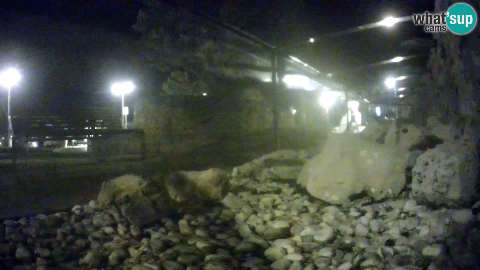 Webcam de l’aquarium marin extérieur de Rogoznica Croatie