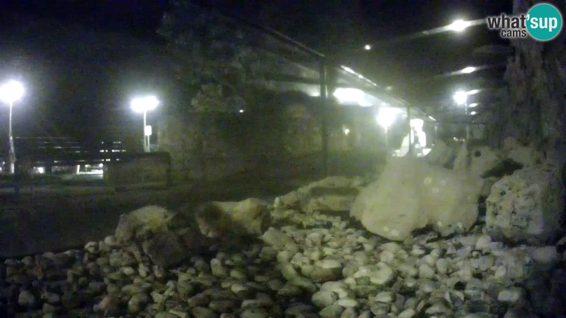 Marine Aquarium im Freien Rogoznica webcam Kroatien