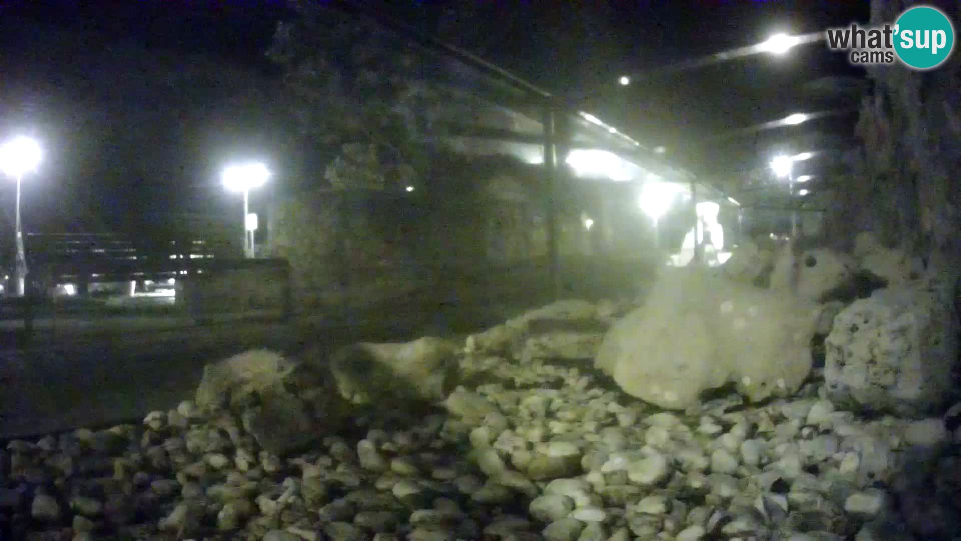 Marine Aquarium im Freien Rogoznica webcam Kroatien