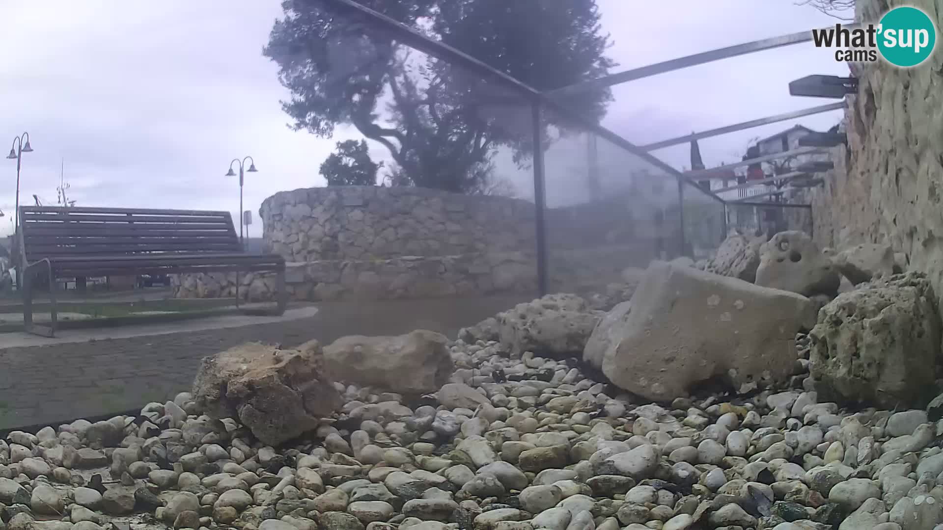 Vanjski morski akvarij Rogoznica web kamera Hrvatska