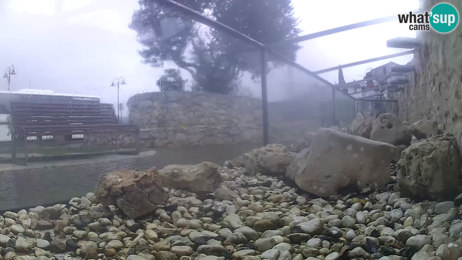 Vanjski morski akvarij Rogoznica web kamera Hrvatska