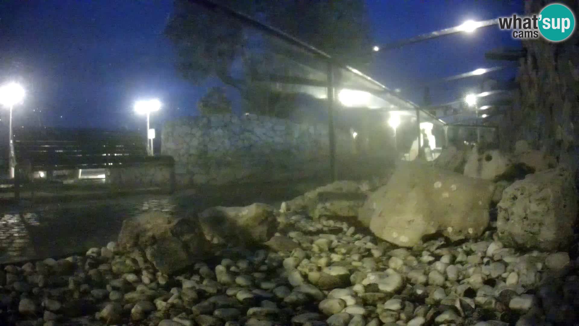 Marine Aquarium im Freien Rogoznica webcam Kroatien