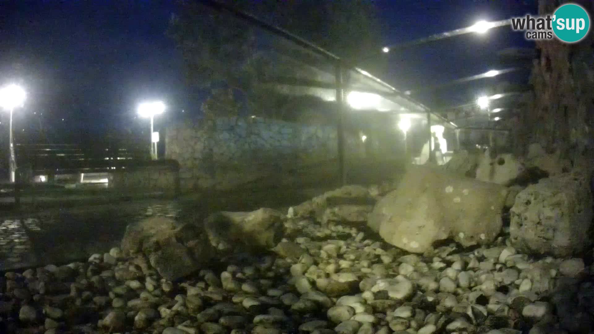 Marine Aquarium im Freien Rogoznica webcam Kroatien