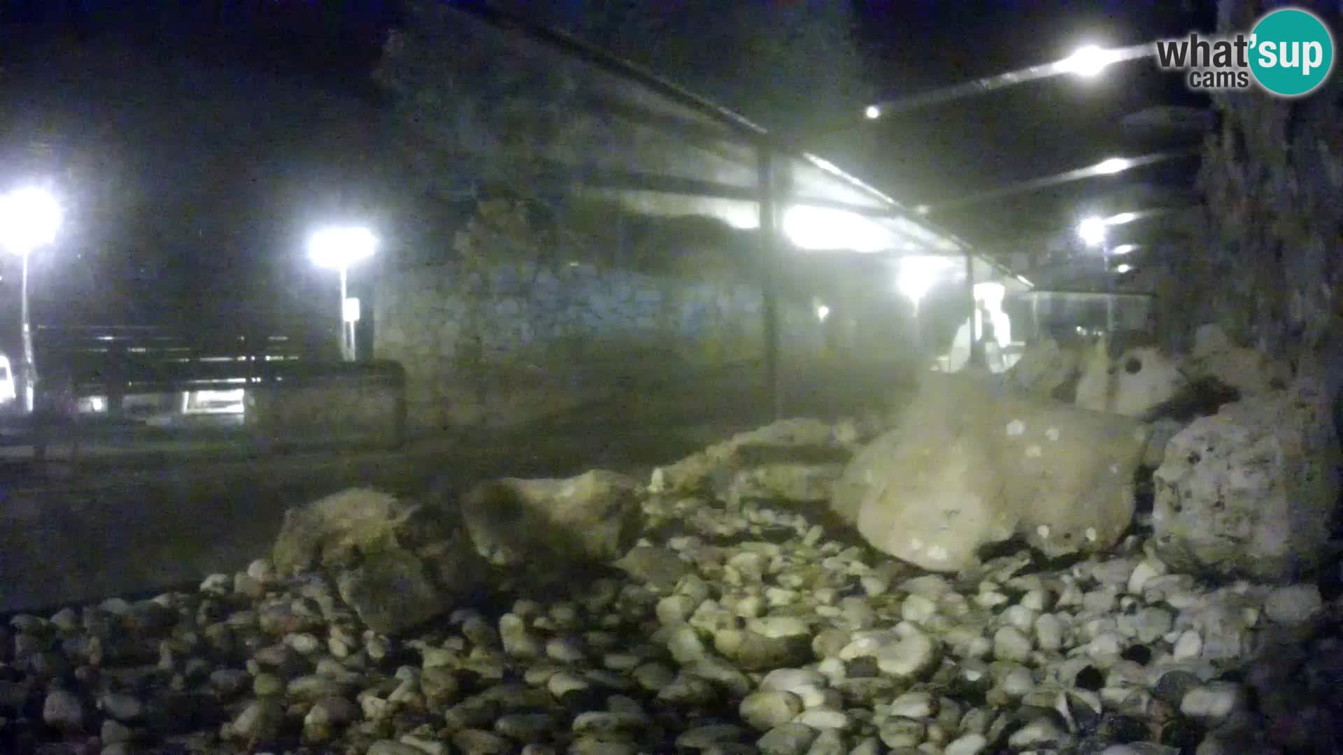 Outdoor Marine Aquarium Rogoznica webcam Croatia