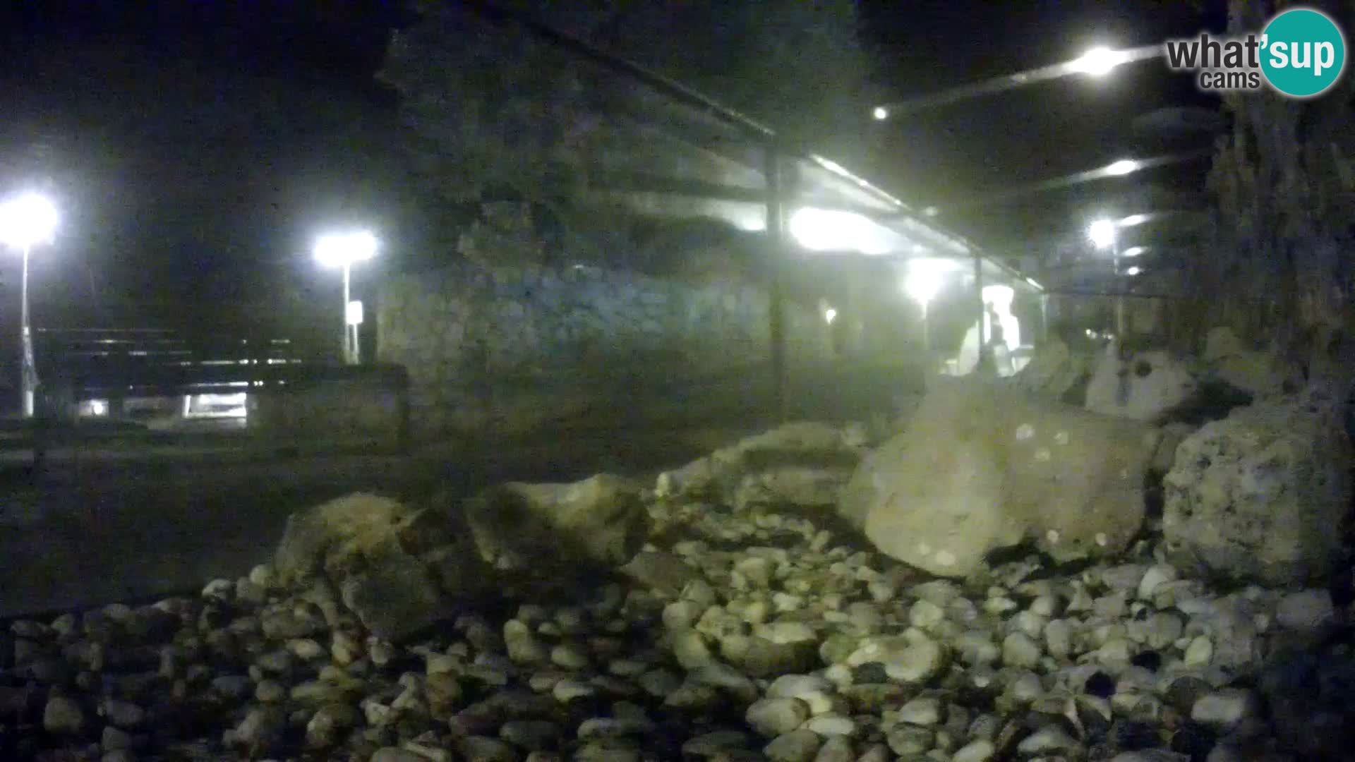 Outdoor Marine Aquarium Rogoznica webcam Croatia