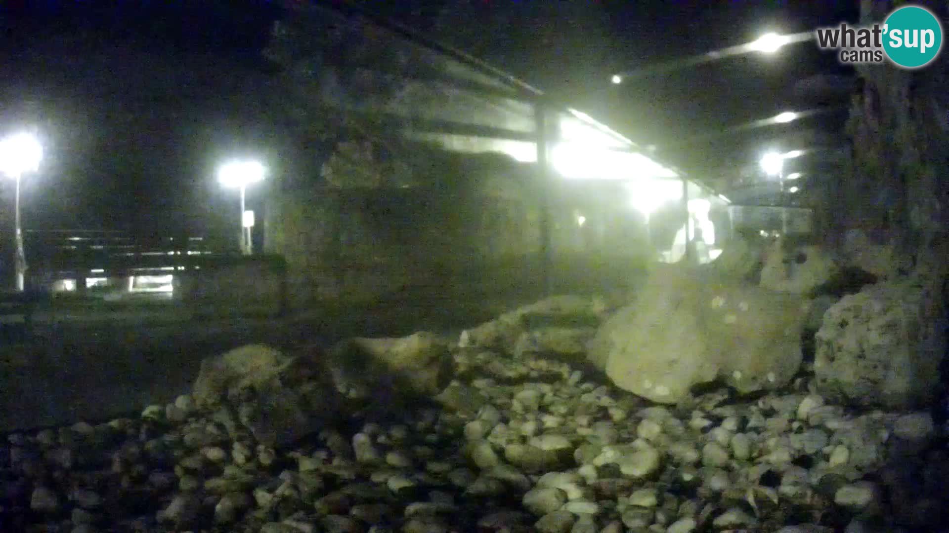 Webcam de l’aquarium marin extérieur de Rogoznica Croatie