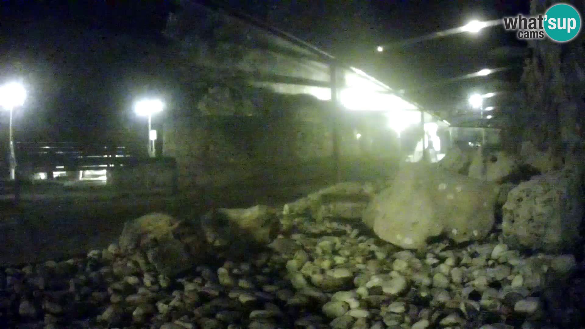 Outdoor Marine Aquarium Rogoznica webcam Croatia