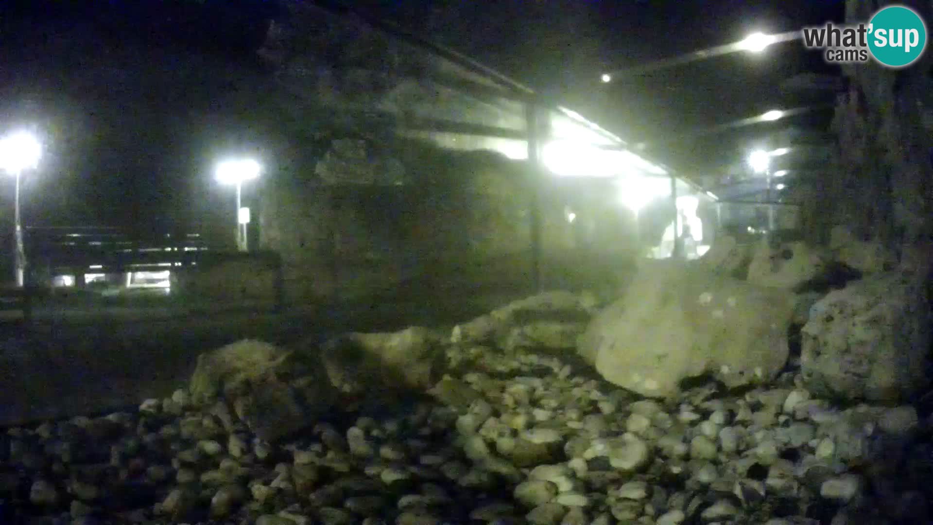 Outdoor Marine Aquarium Rogoznica webcam Croatia