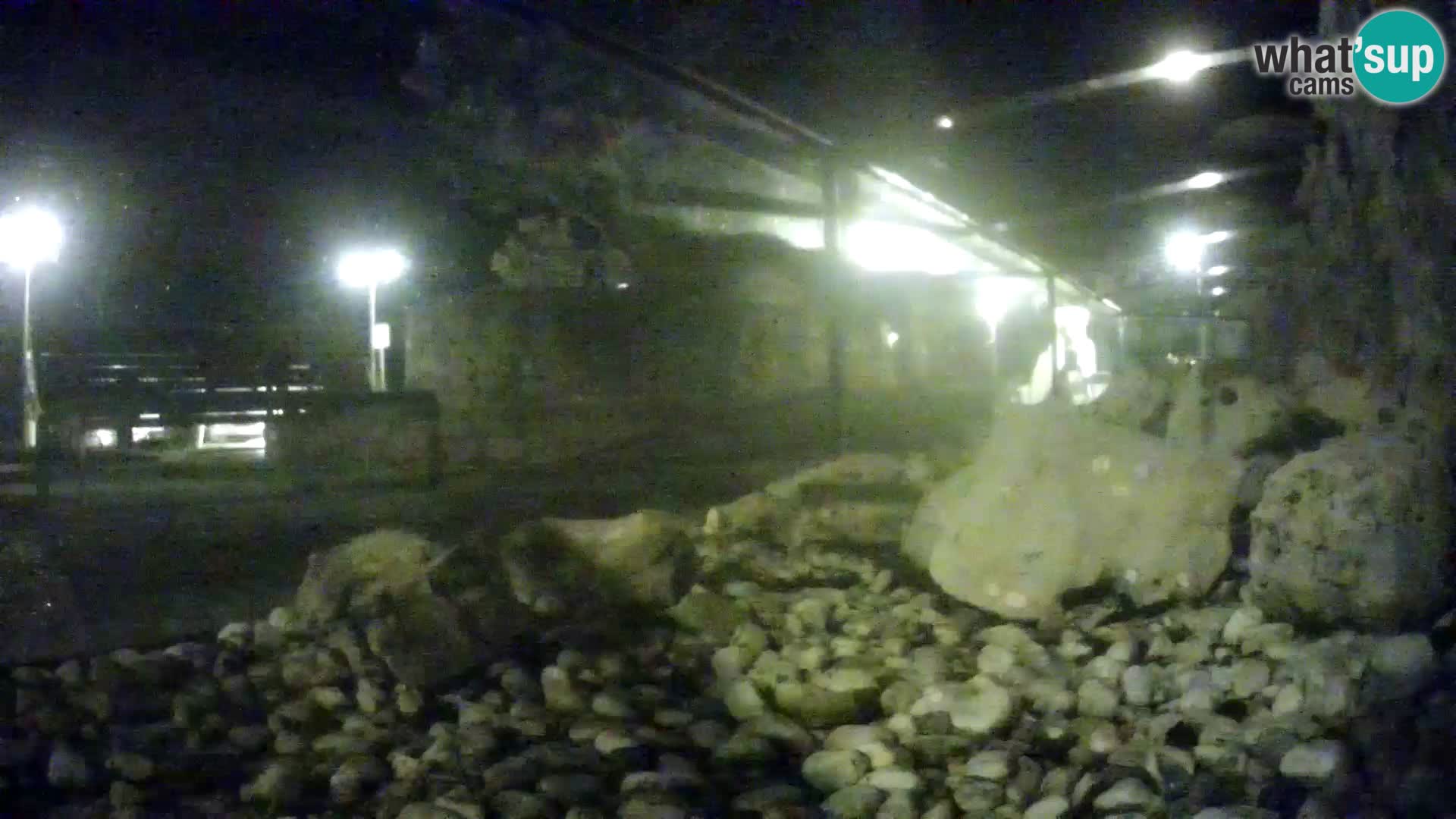 Acuario marino al aire libre Rogoznica webcam Croacia