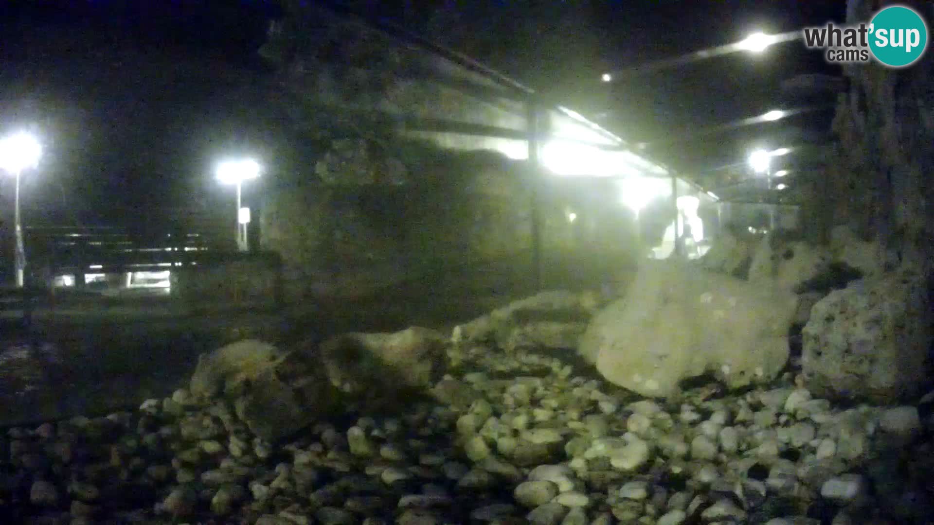 Acuario marino al aire libre Rogoznica webcam Croacia