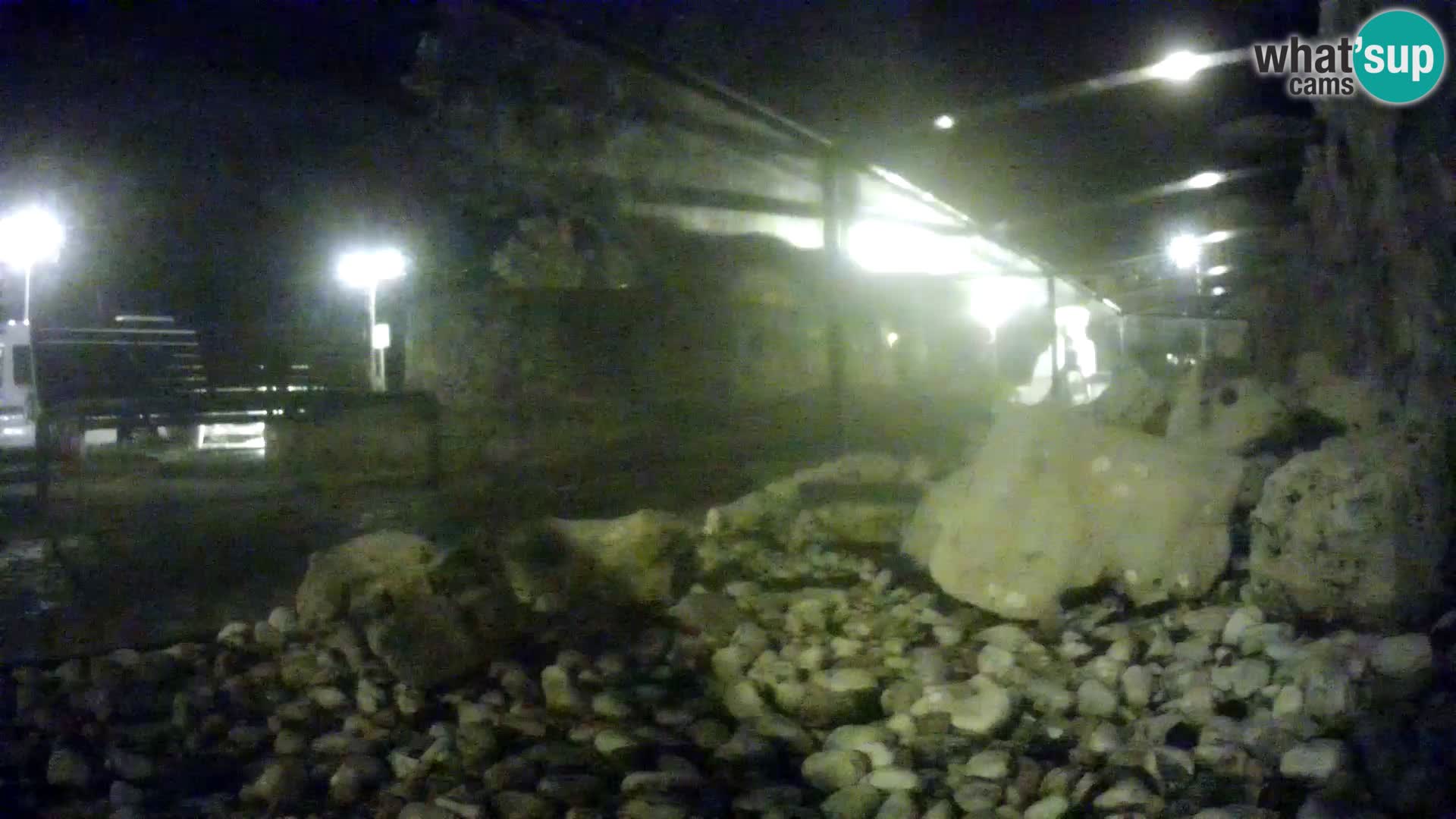 Webcam de l’aquarium marin extérieur de Rogoznica Croatie