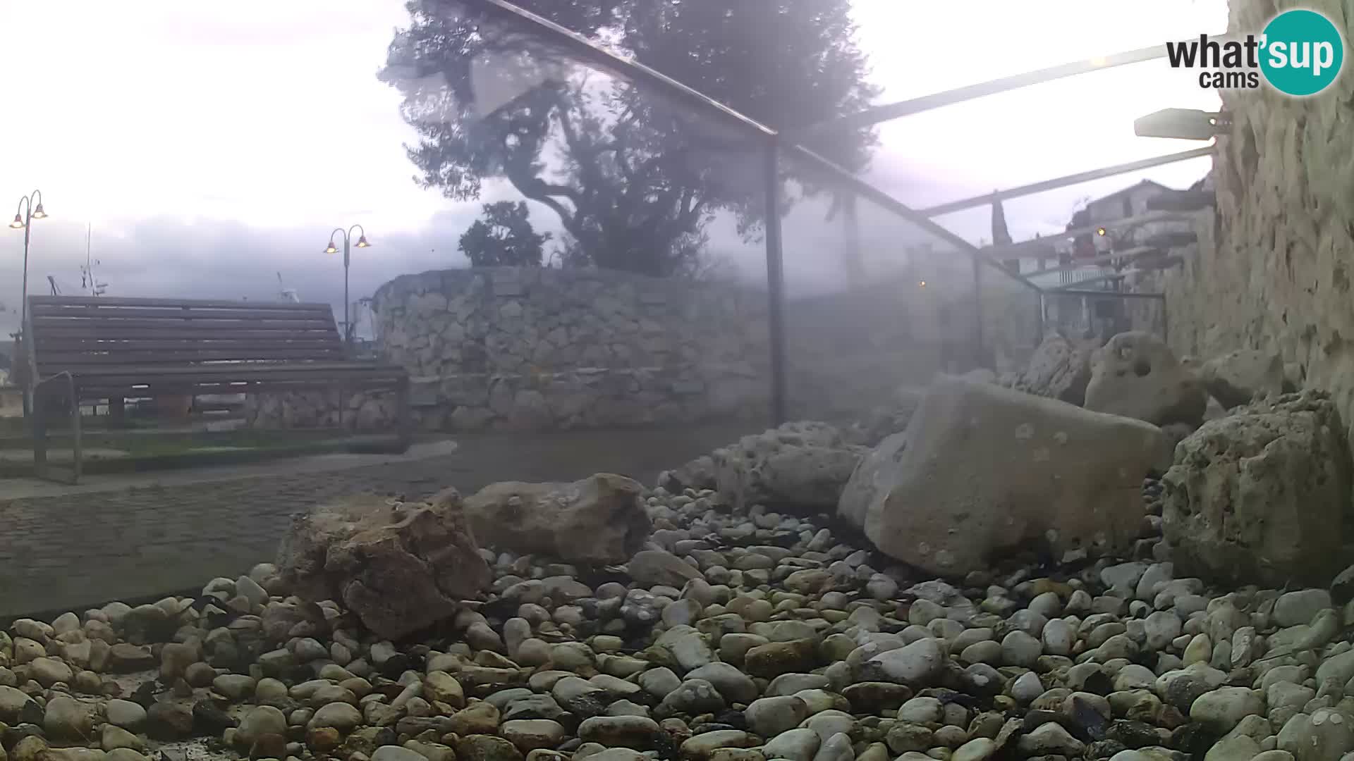 Outdoor Marine Aquarium Rogoznica webcam Croatia