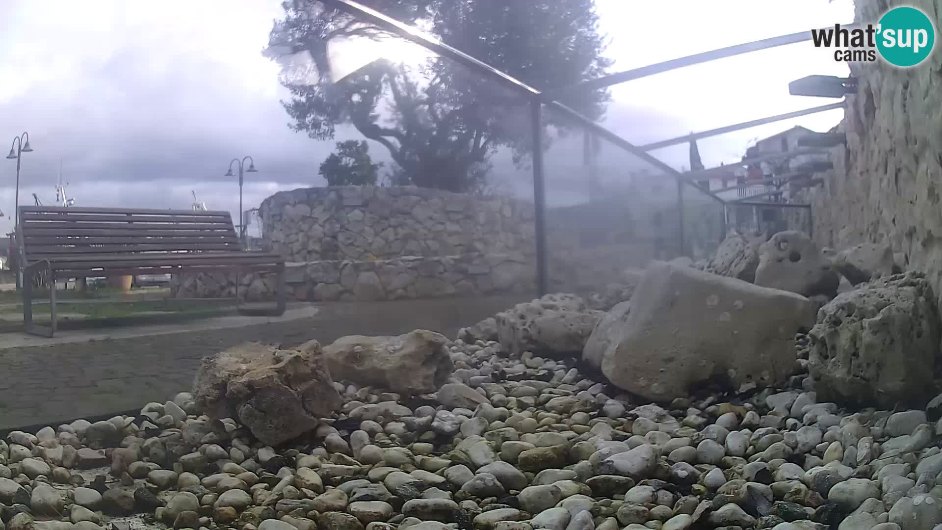 Aquario marino esterno –  Rogoznica livecam Croazia