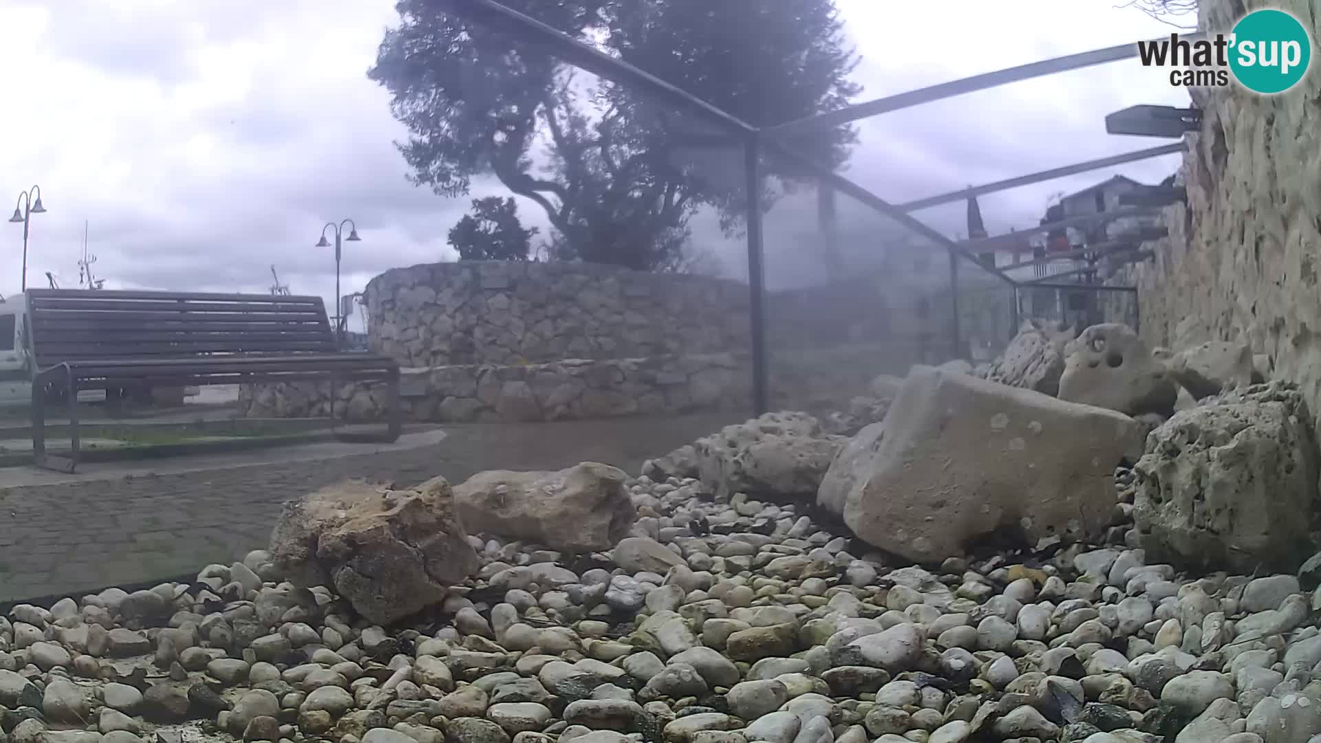 Zunanji morski akvarij Rogoznica spletna kamera Hrvaška