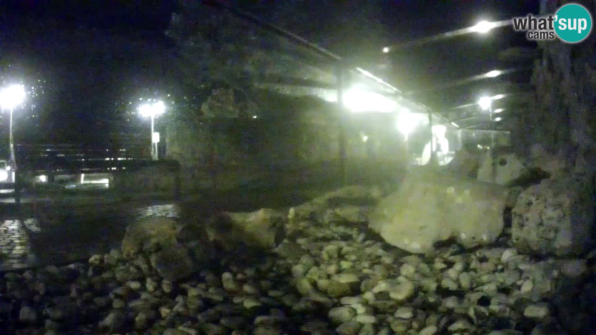 Outdoor Marine Aquarium Rogoznica webcam Croatia