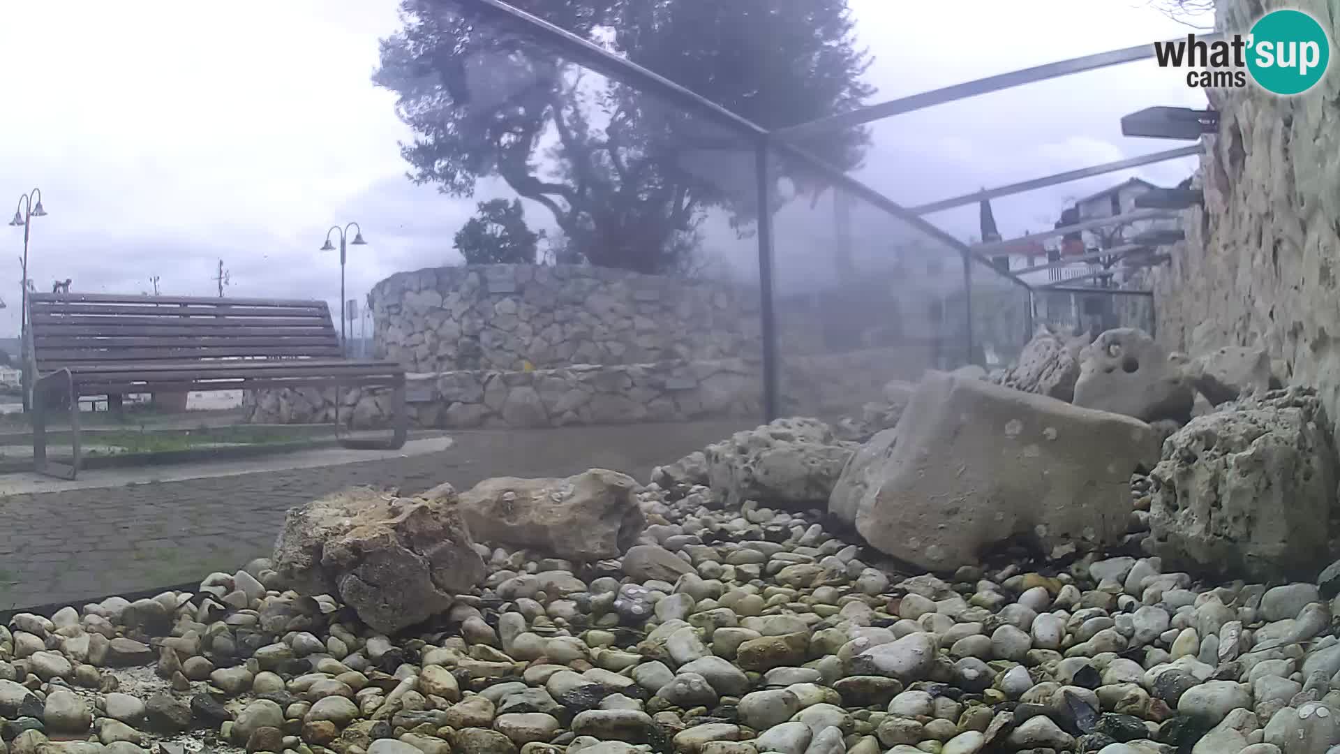 Outdoor Marine Aquarium Rogoznica webcam Croatia