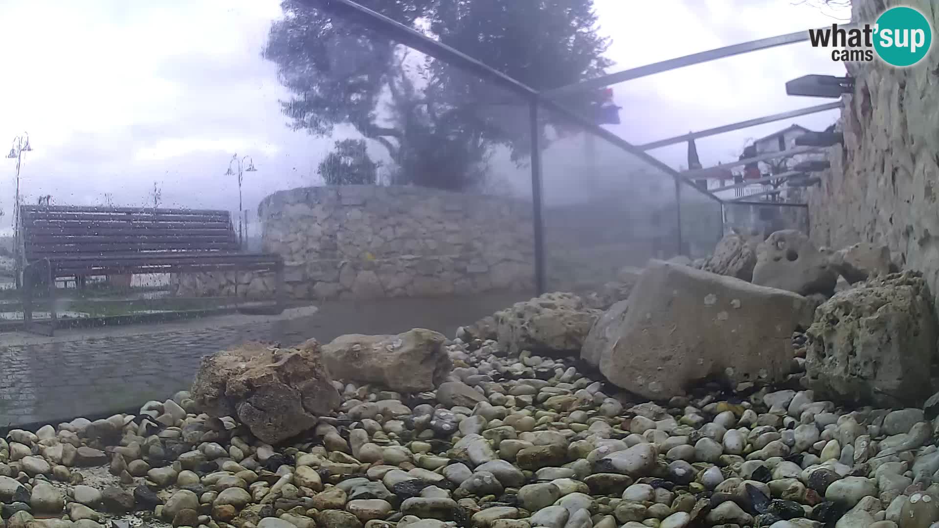 Outdoor Marine Aquarium Rogoznica webcam Croatia