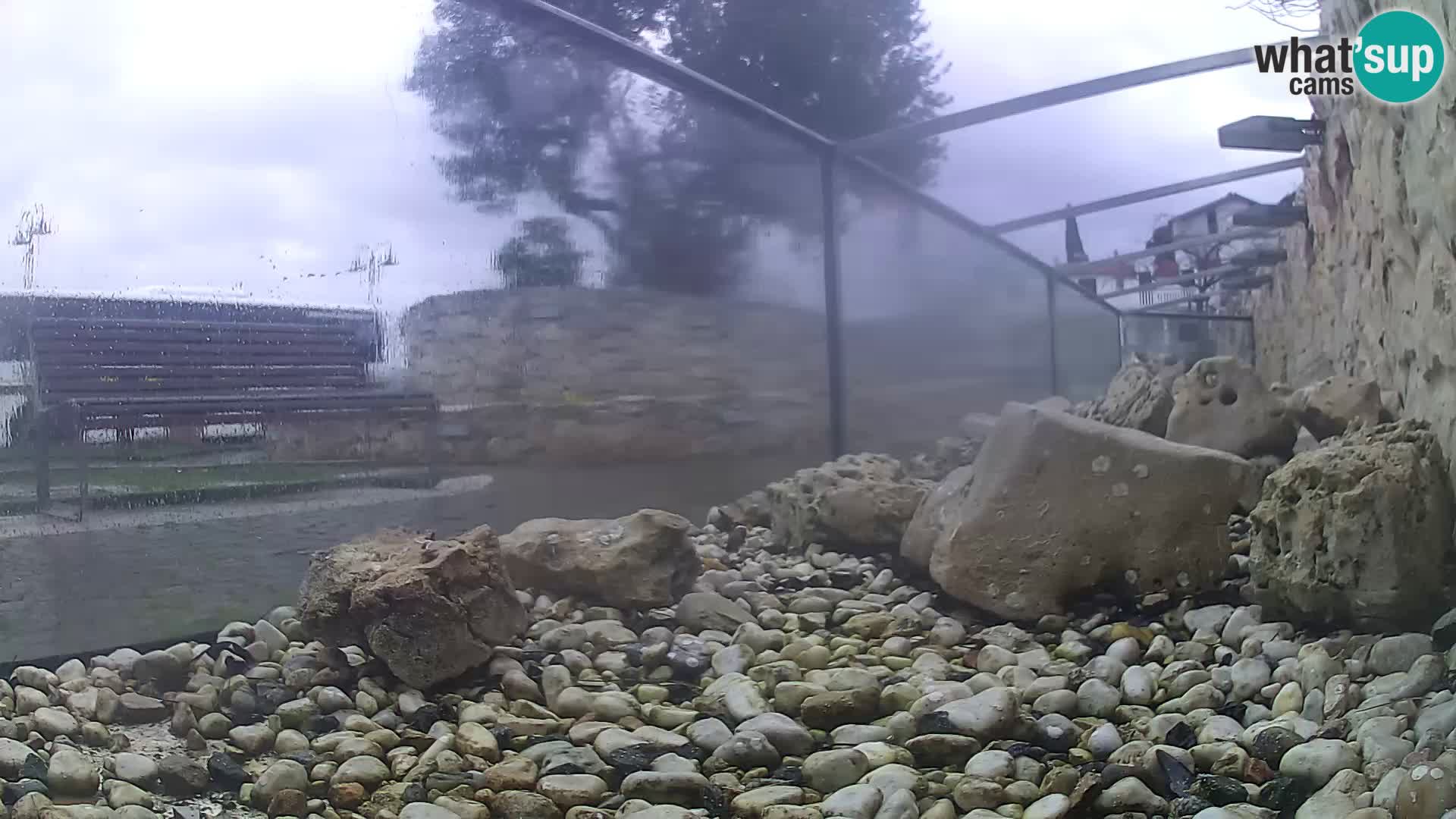 Outdoor Marine Aquarium Rogoznica webcam Croatia