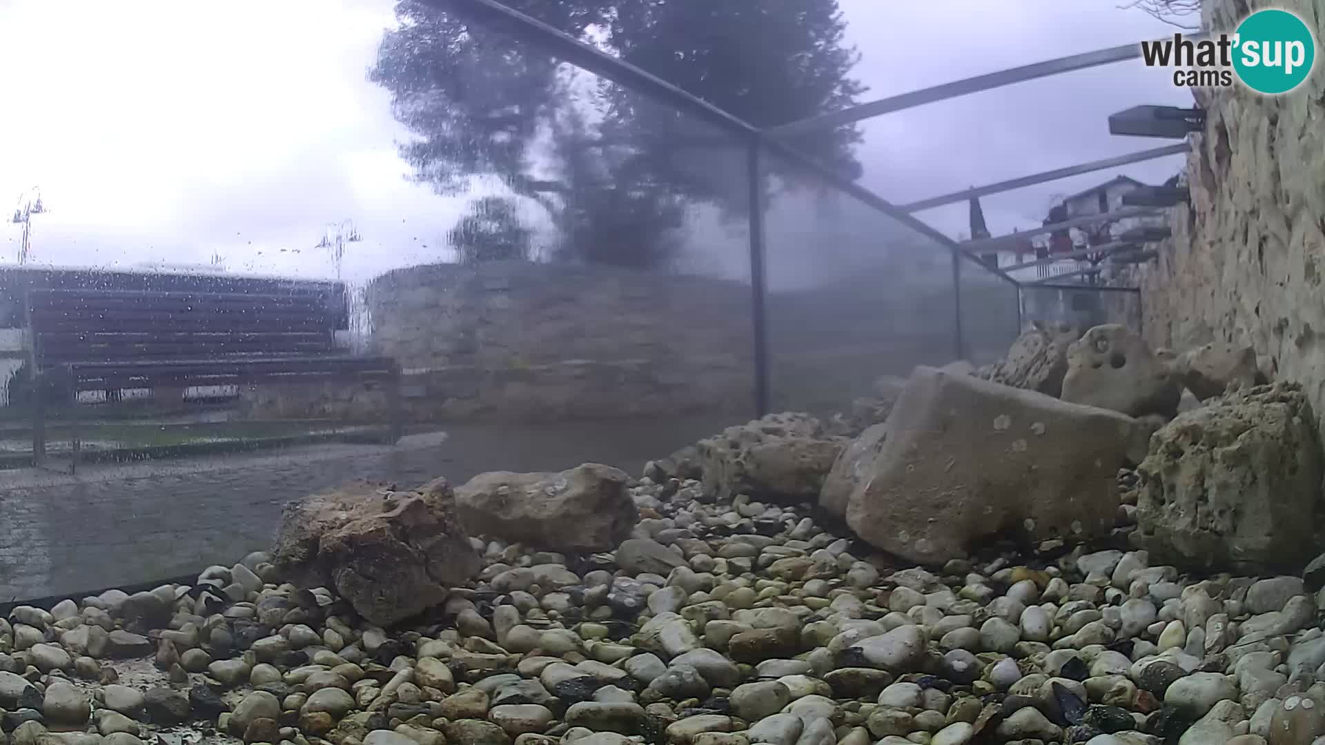 Outdoor Marine Aquarium Rogoznica webcam Croatia