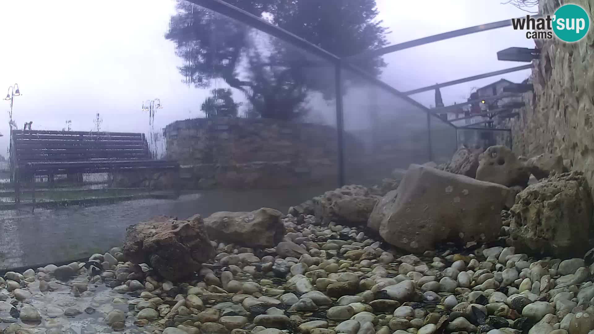 Outdoor Marine Aquarium Rogoznica webcam Croatia