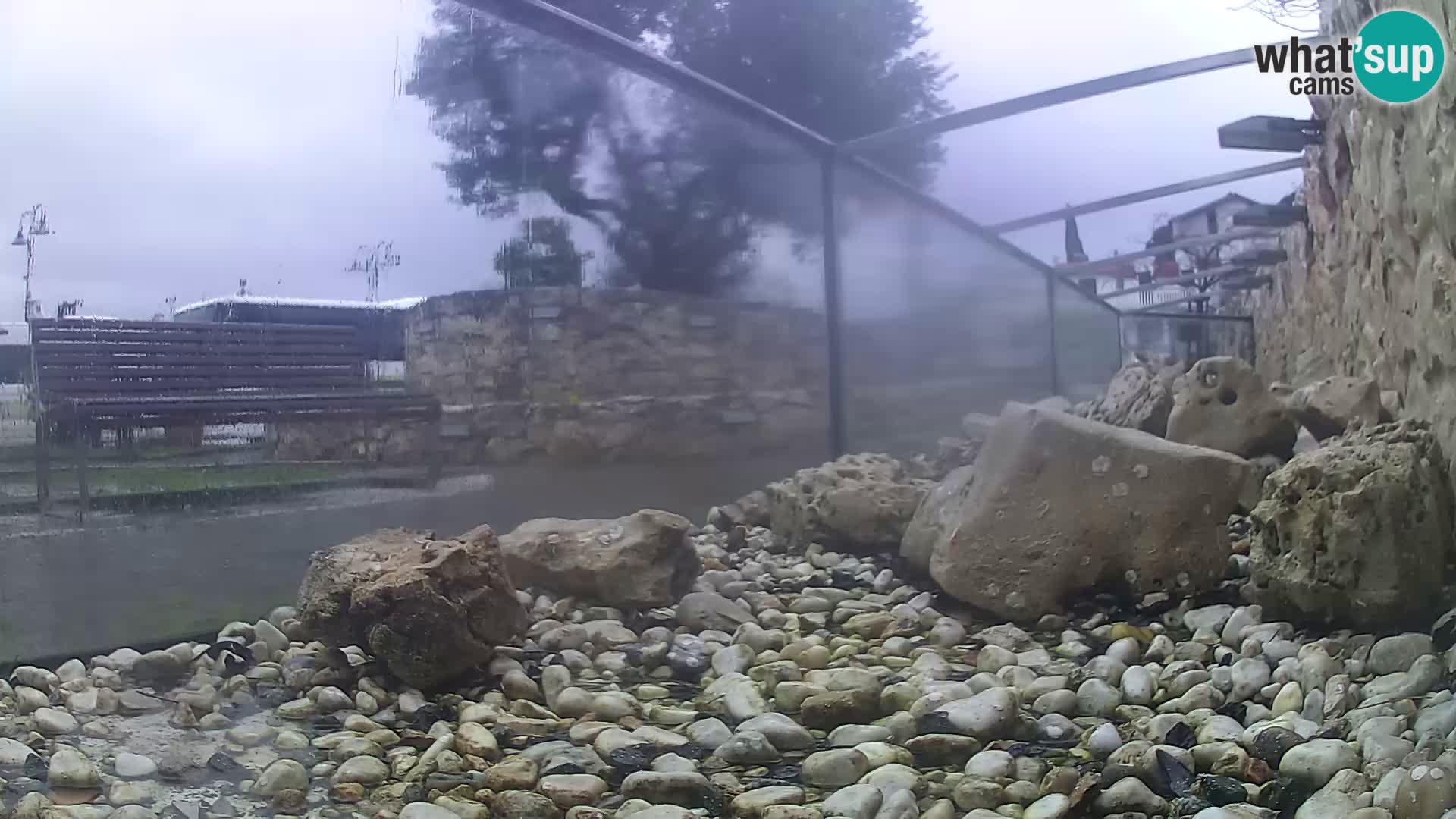 Outdoor Marine Aquarium Rogoznica webcam Croatia