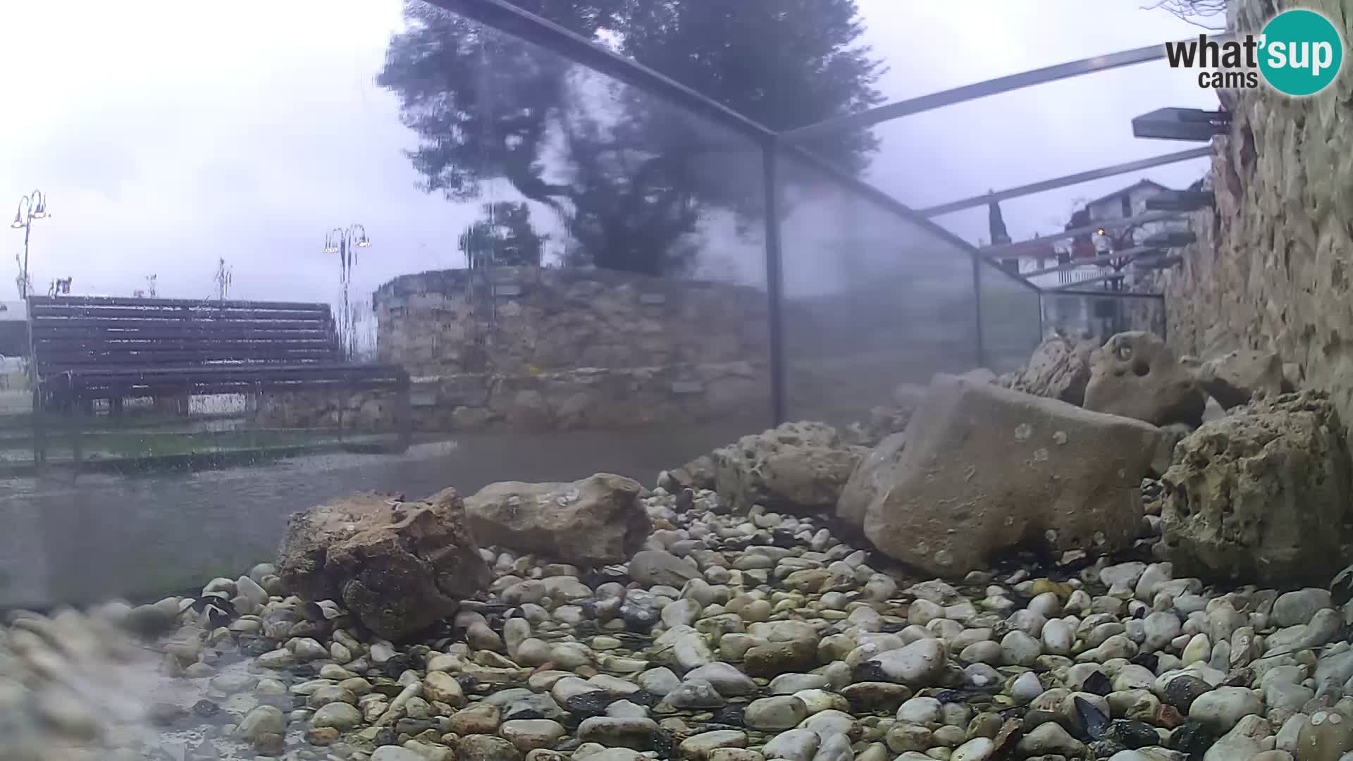 Marine Aquarium im Freien Rogoznica webcam Kroatien