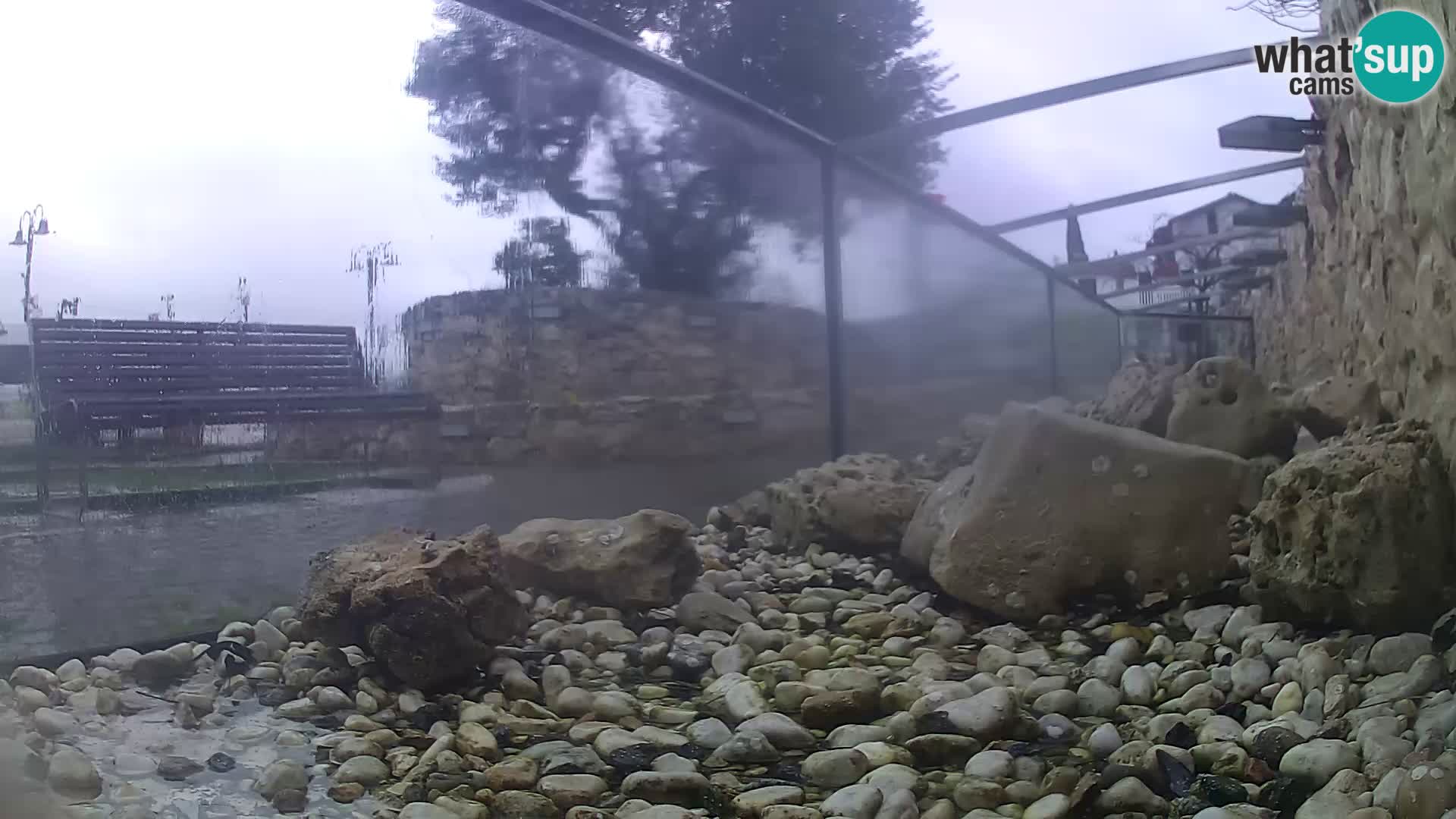 Outdoor Marine Aquarium Rogoznica webcam Croatia