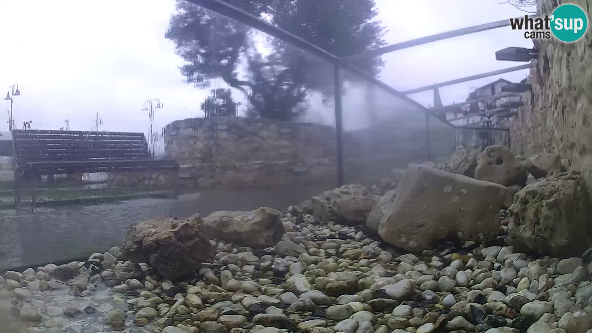 Outdoor Marine Aquarium Rogoznica webcam Croatia