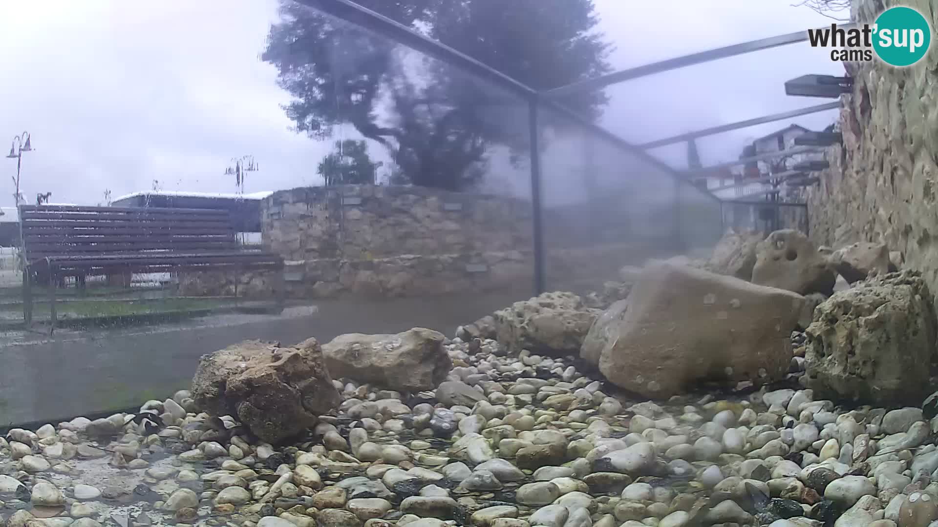 Marine Aquarium im Freien Rogoznica webcam Kroatien