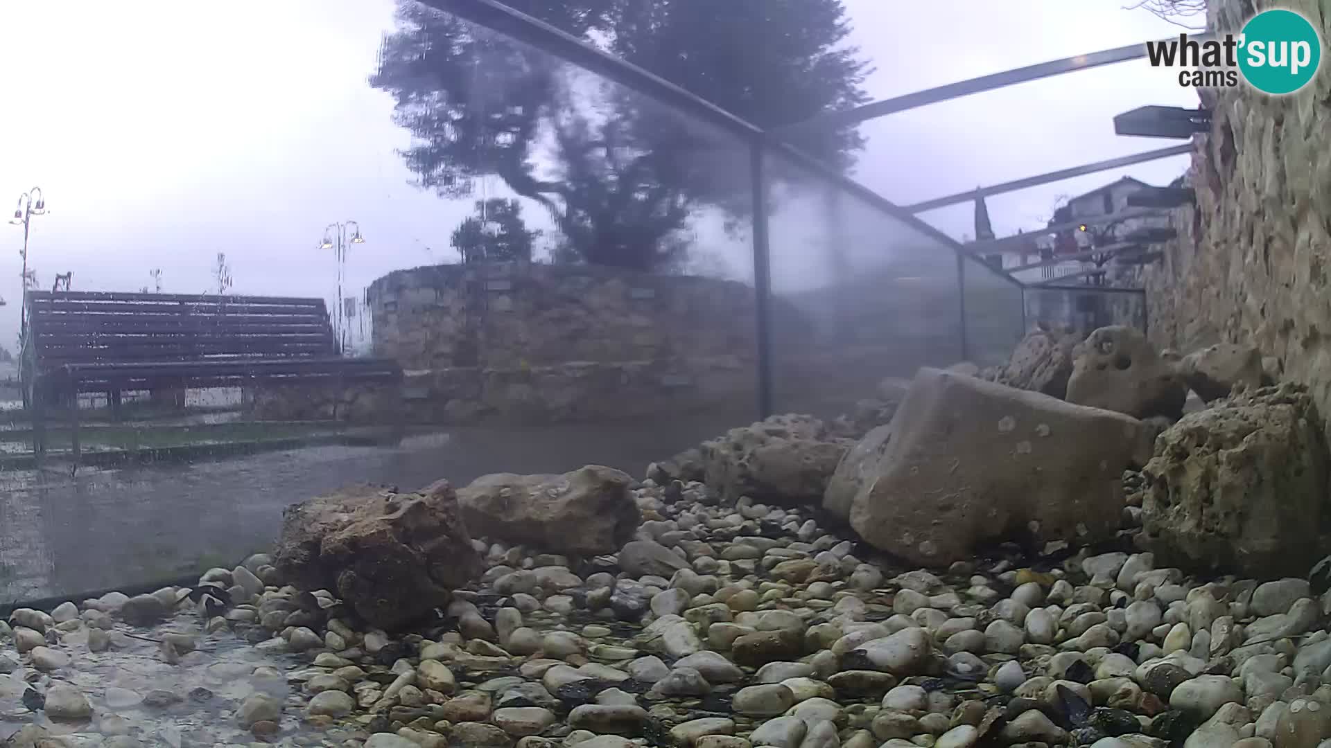 Outdoor Marine Aquarium Rogoznica webcam Croatia