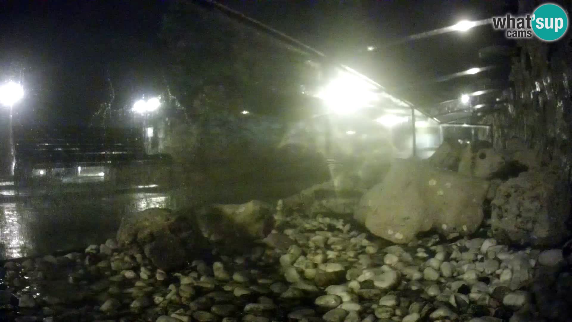 Zunanji morski akvarij Rogoznica spletna kamera Hrvaška