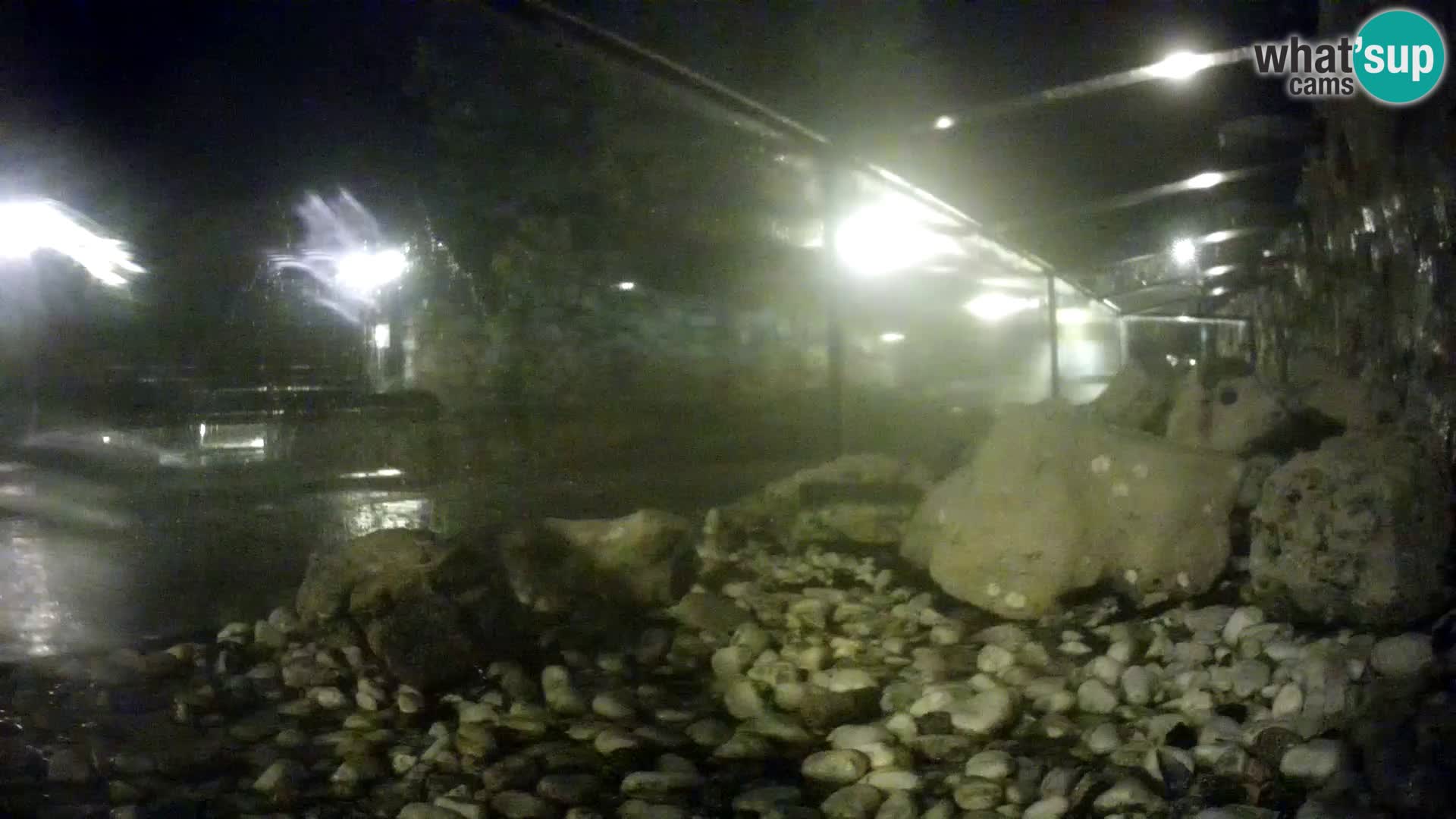 Marine Aquarium im Freien Rogoznica webcam Kroatien