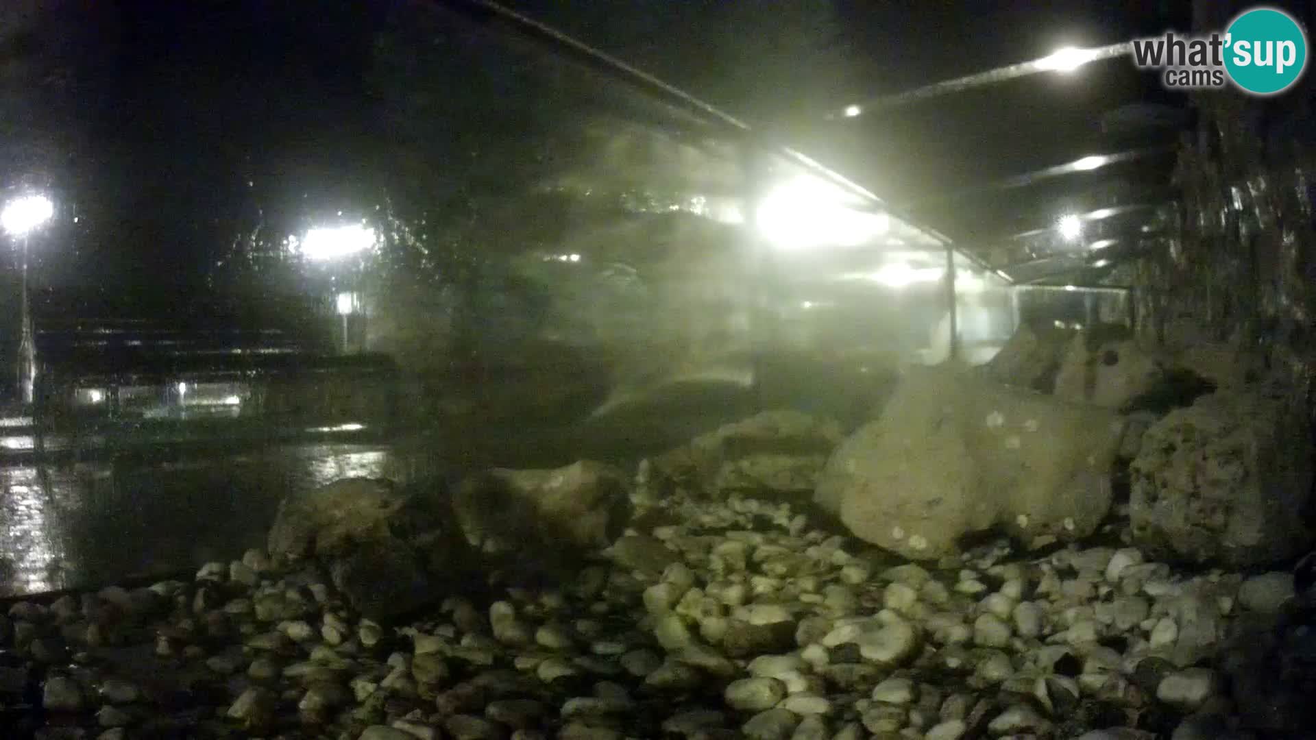 Marine Aquarium im Freien Rogoznica webcam Kroatien