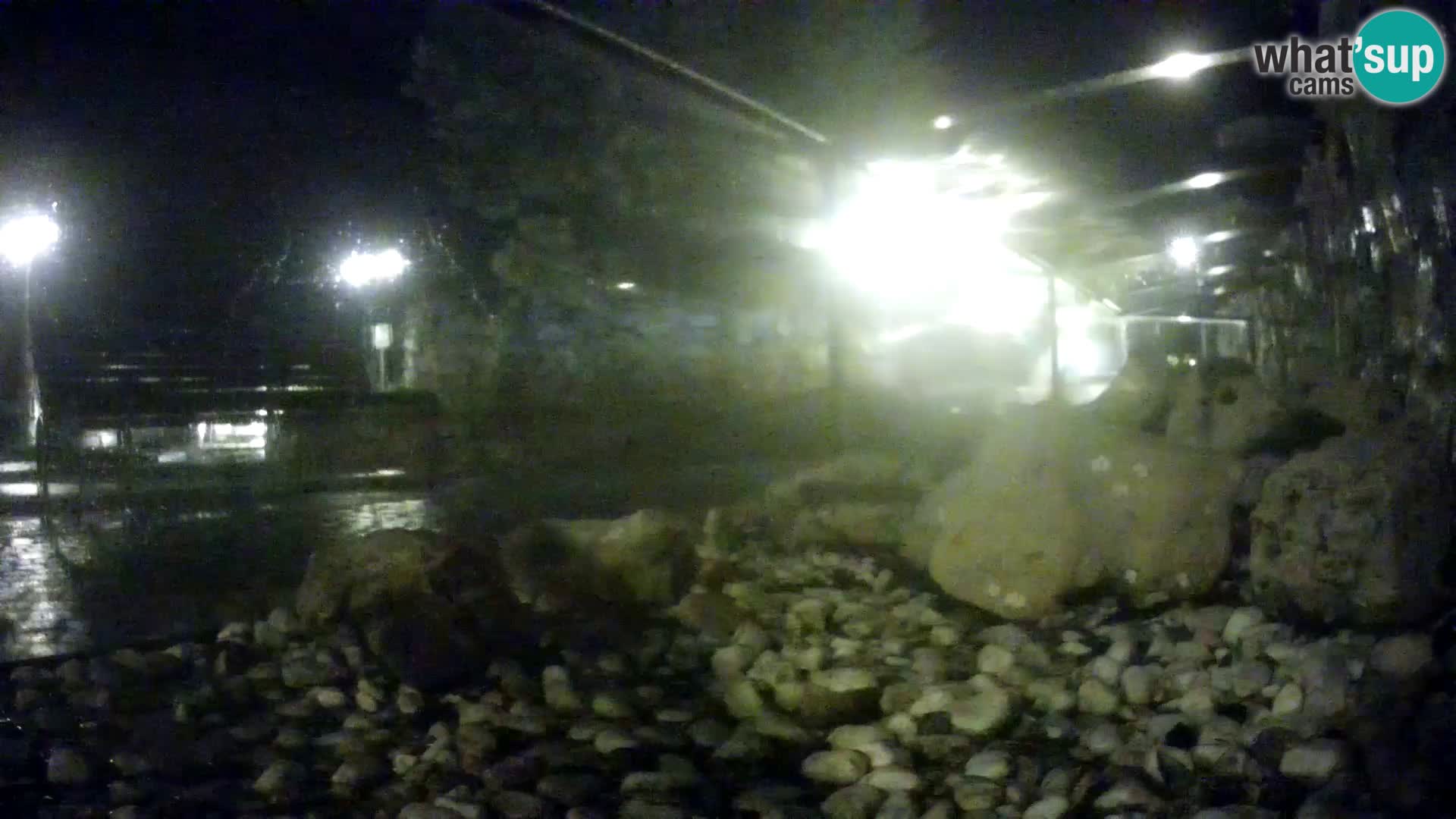 Webcam de l’aquarium marin extérieur de Rogoznica Croatie