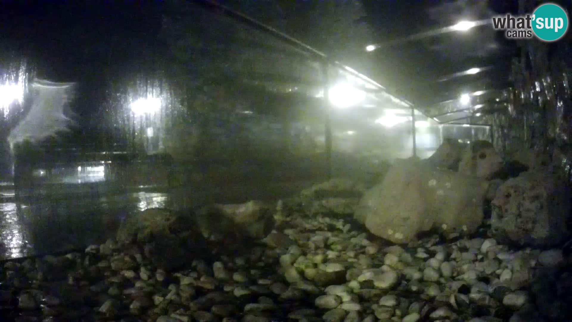 Webcam de l’aquarium marin extérieur de Rogoznica Croatie